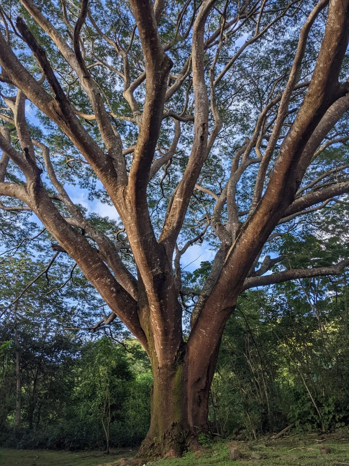 WhatsApp Image 2025-10-16 at 18.54.11.jpeg