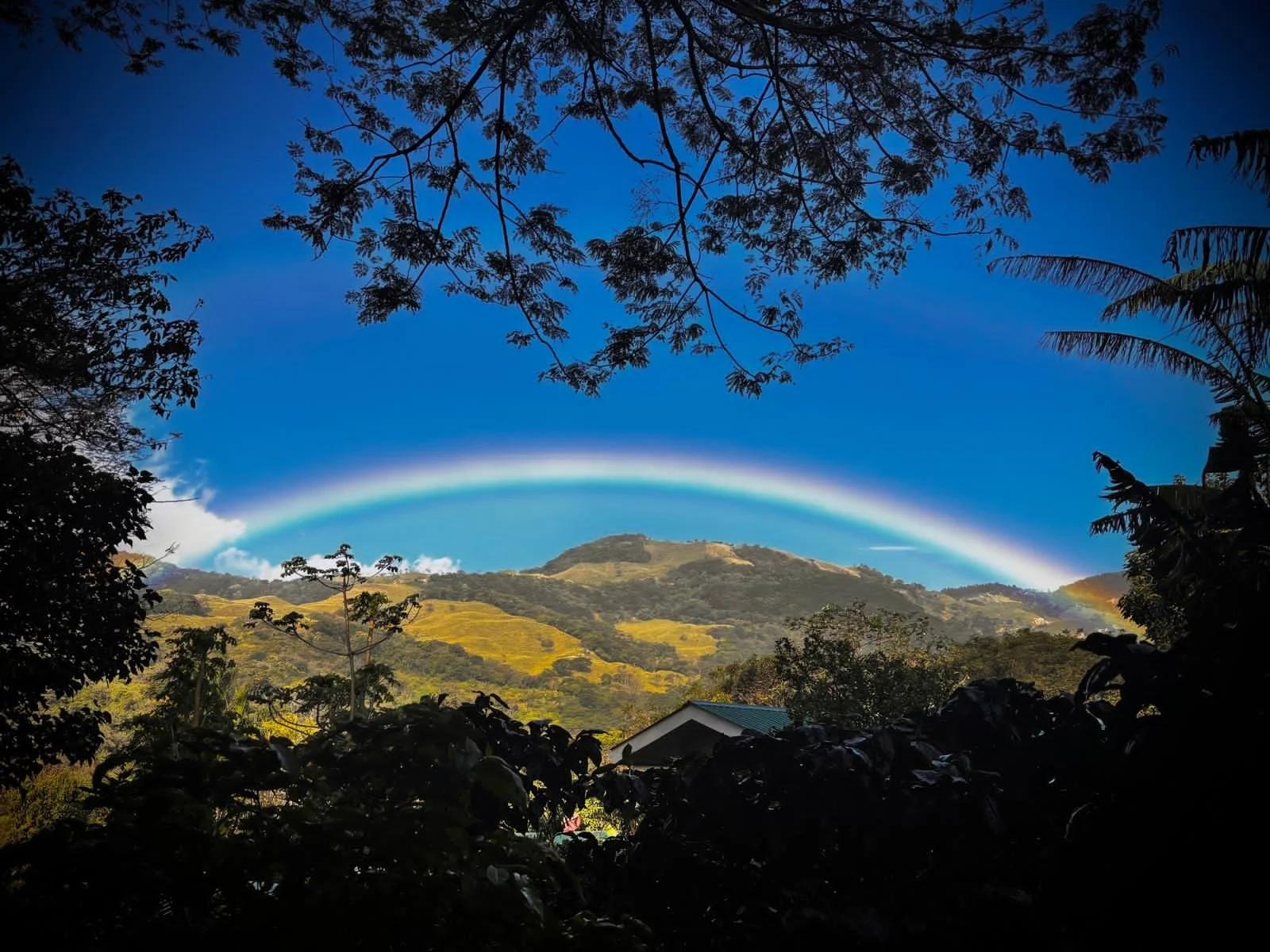 WhatsApp Image 2025-10-16 at 18.54.04.jpeg