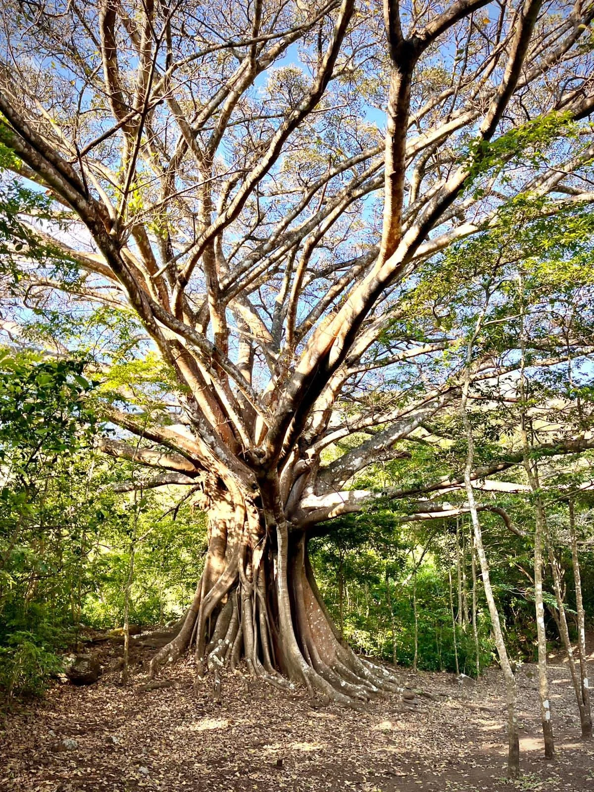 WhatsApp Image 2025-10-16 at 18.54.07 (4).jpeg