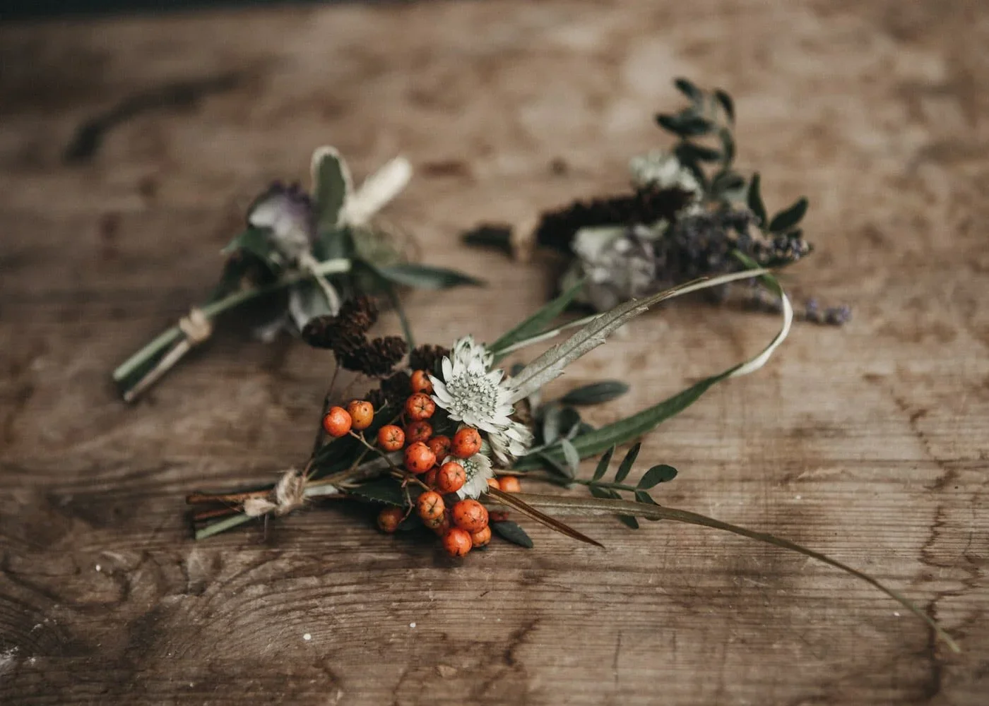 Editorial flat lay with olive branch, berries, and vintage scissors – a nod to slow living and natural craft.