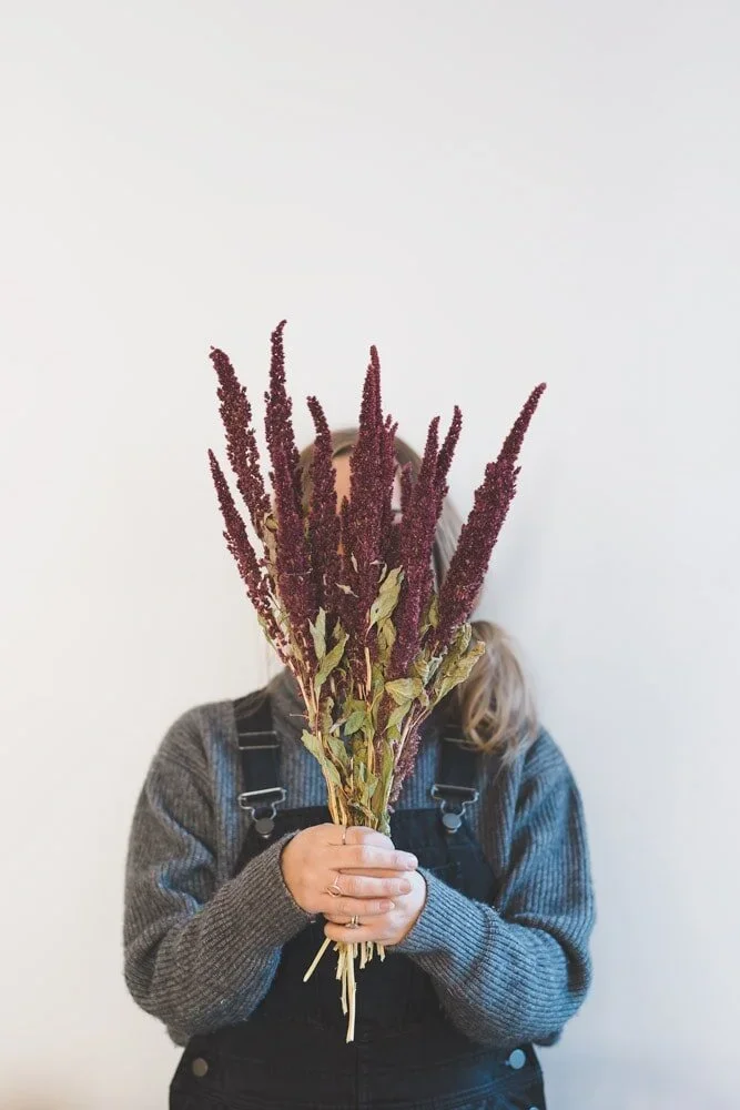 Playful portrait of florist holding bunch of burgundy amaranth – hiding behind beauty.