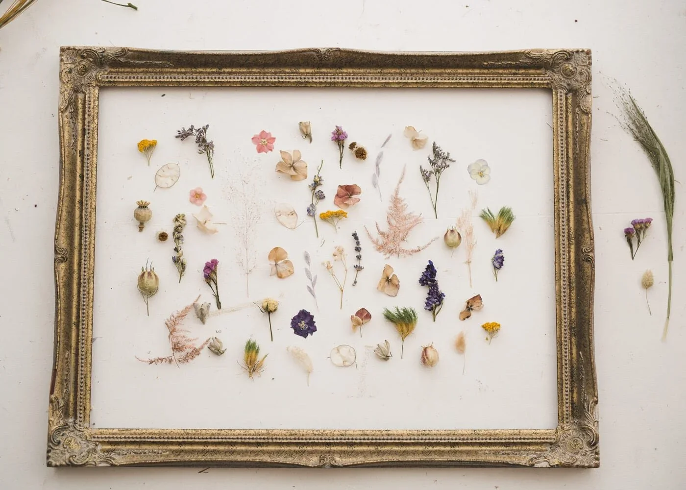 Framed display of pressed flowers and herbs – nature meets design in a curated, storytelling piece.
