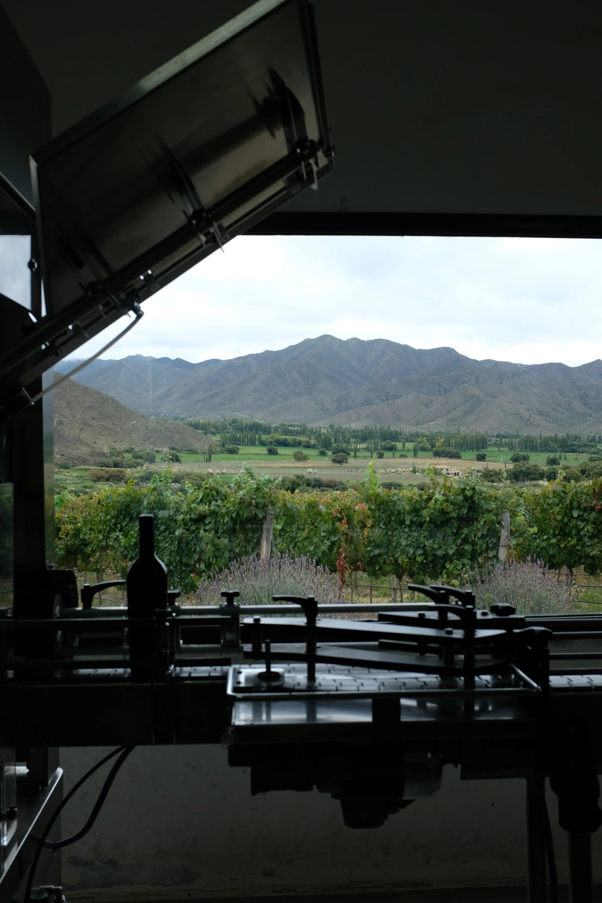 DSCF2617.JPG