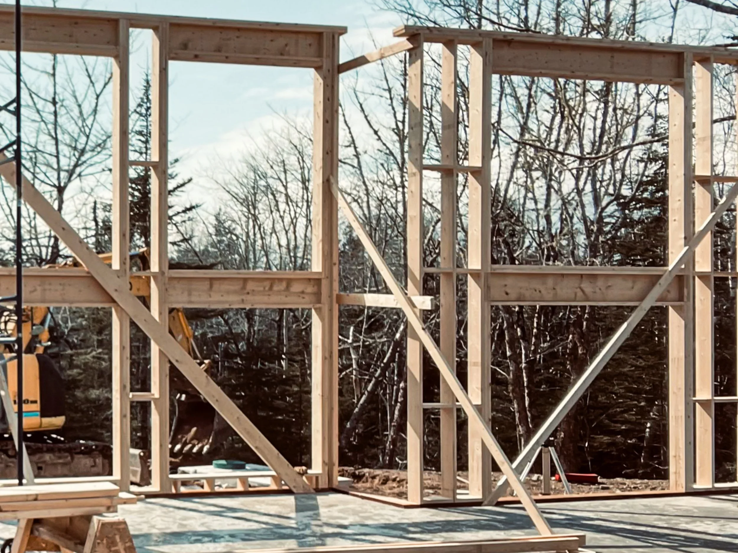 Nova Scotia Carpenter-1.jpg