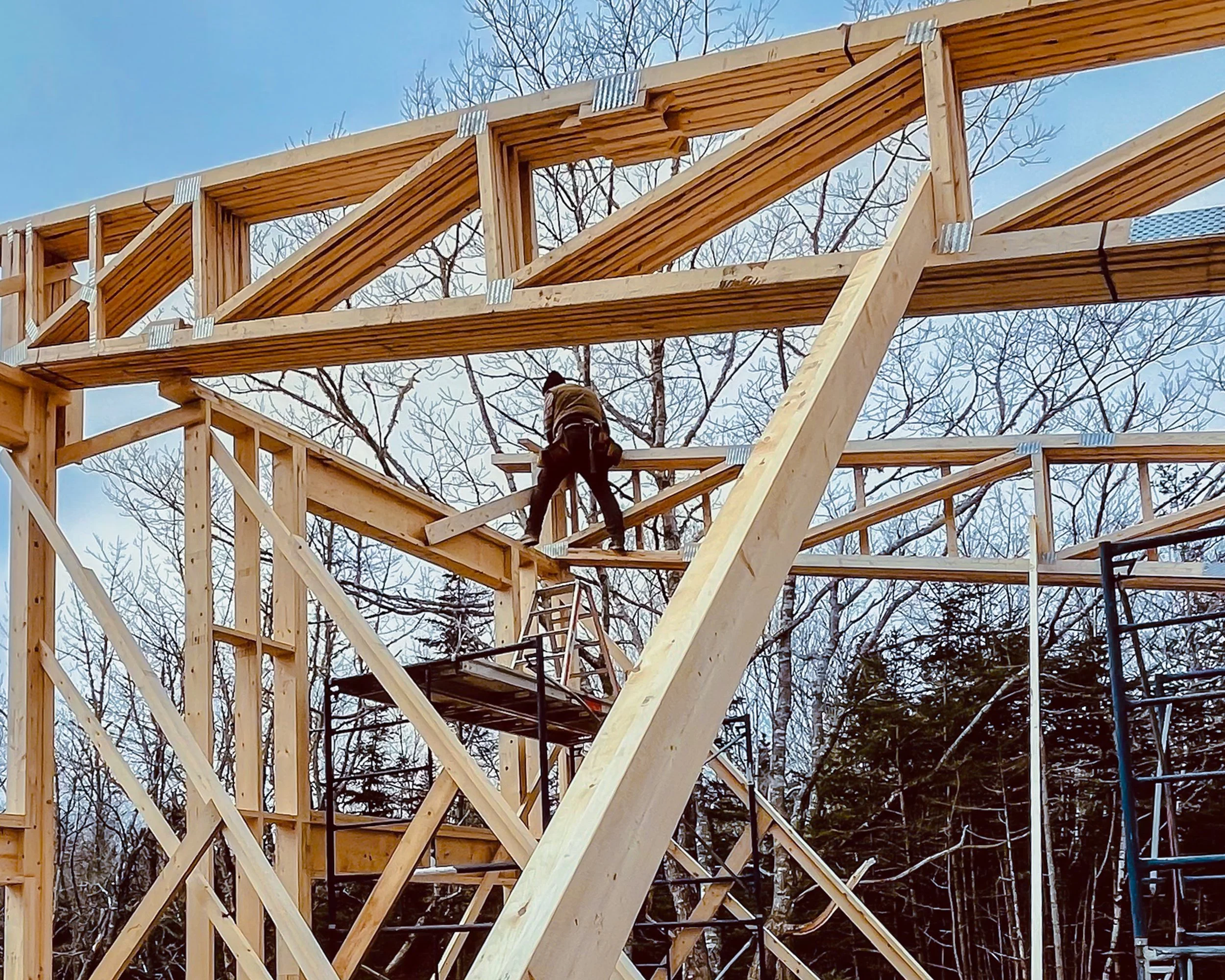 Nova Scotia Carpenter-2.jpg