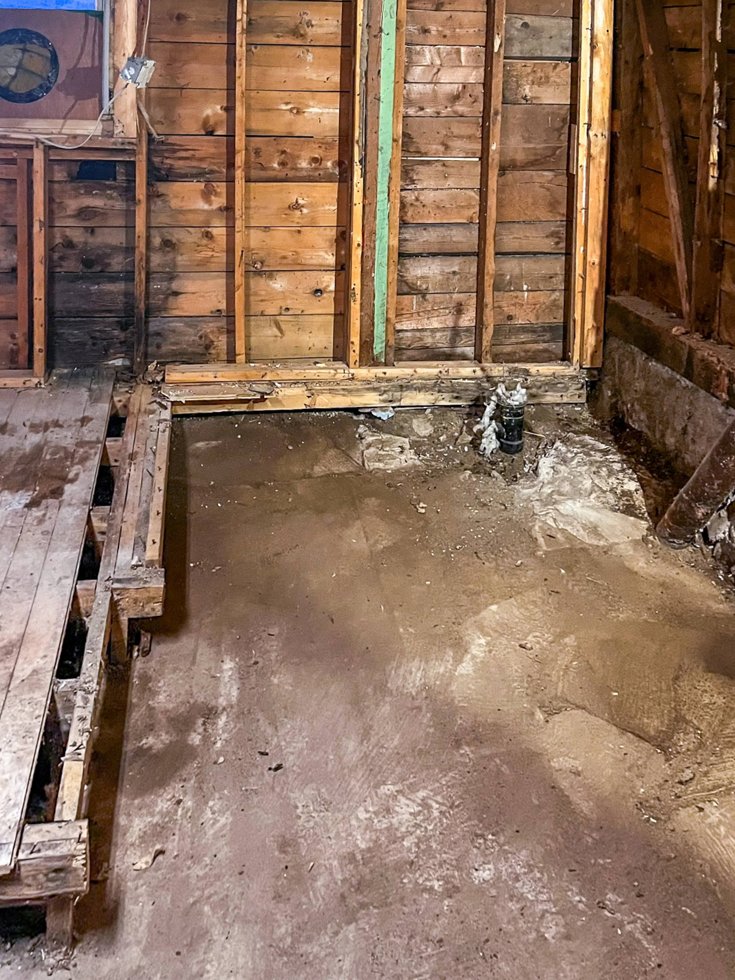 NEW ROSS RENO-2.jpg