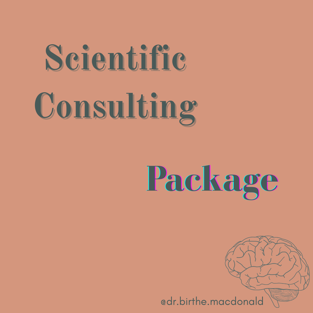 1-1 Scientific Consulting Package