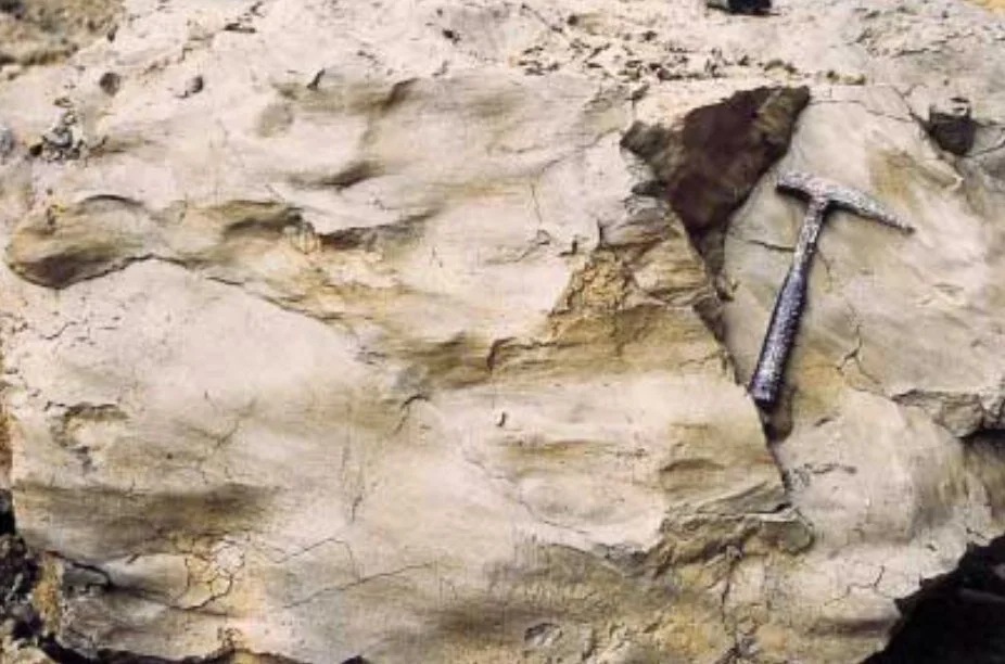 Fragment of shale ( lutita )showing the wavy surface of a hydroplastic fracture. These fractures are formed by the migration of water during sediment compaction and serve as pathways for the entry of sulfur-bearing fluids into the mudstones.
Photo: J