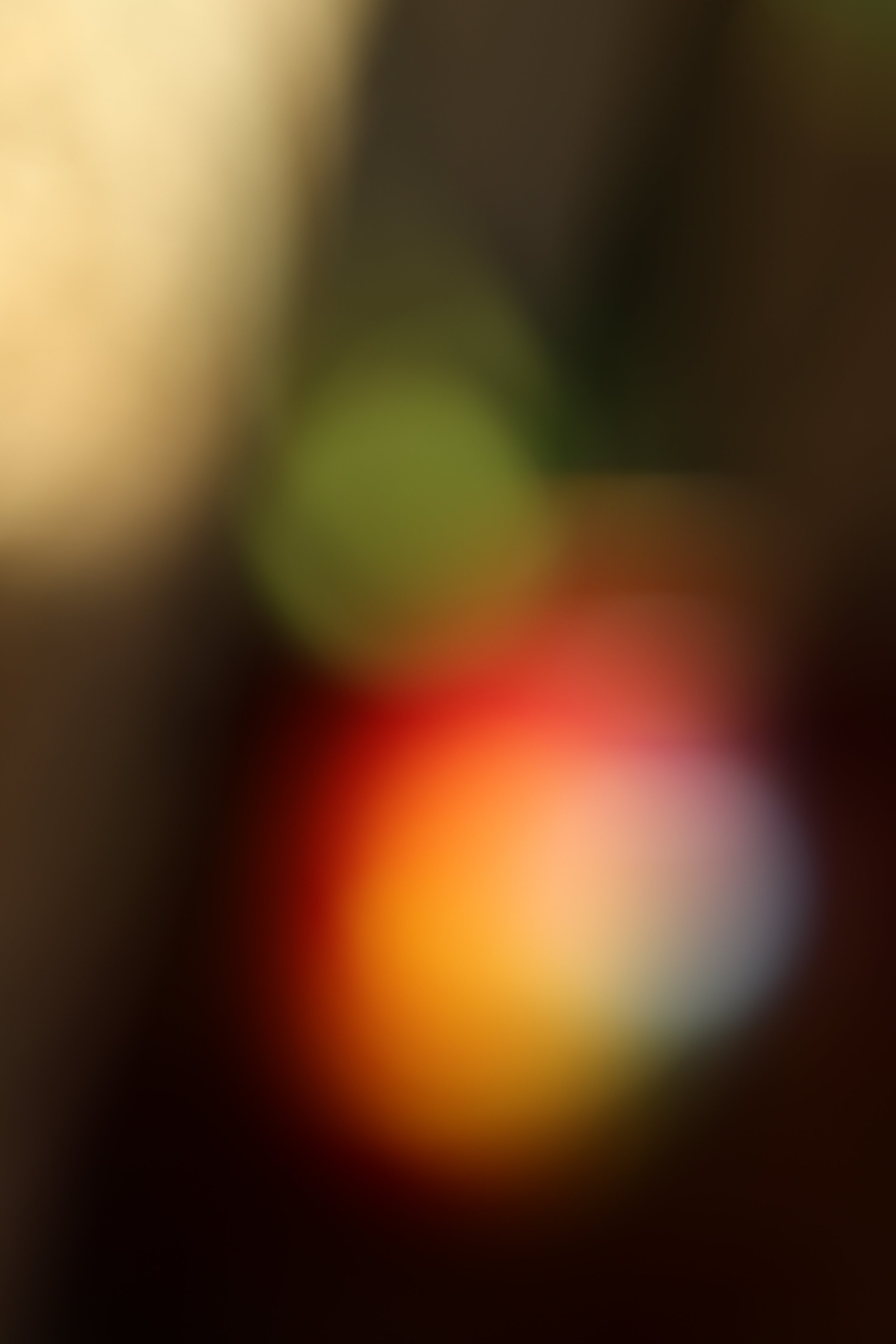 1A9A2508.JPG