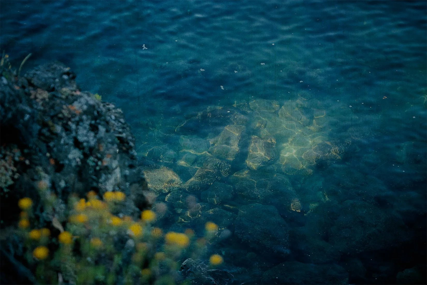 1A9A0352.jpg