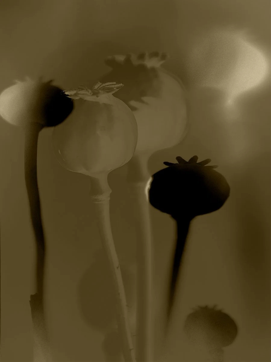 JW-TIOP21-Veil of Form.jpg