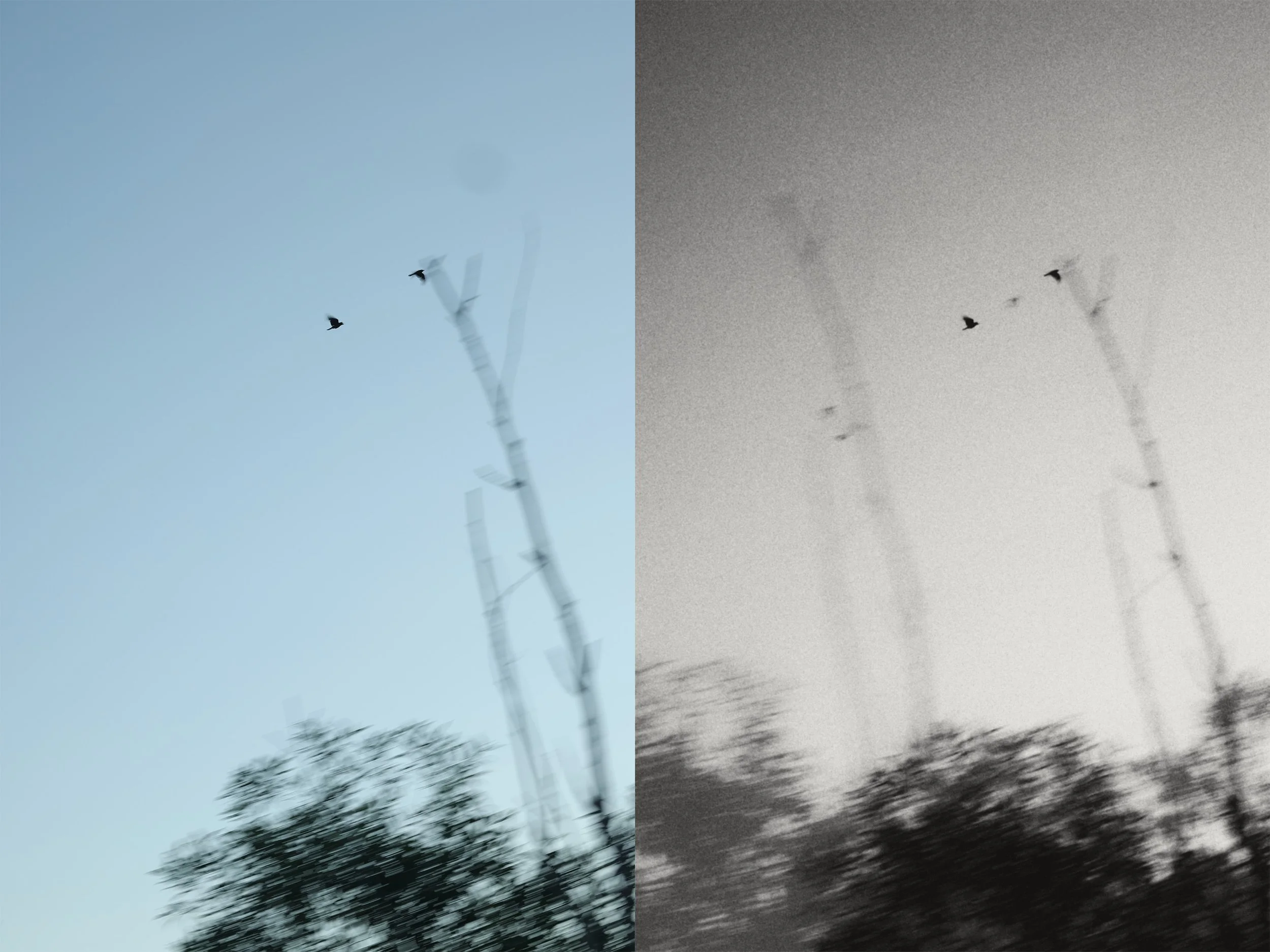 02-Tracing the Last Light.jpg