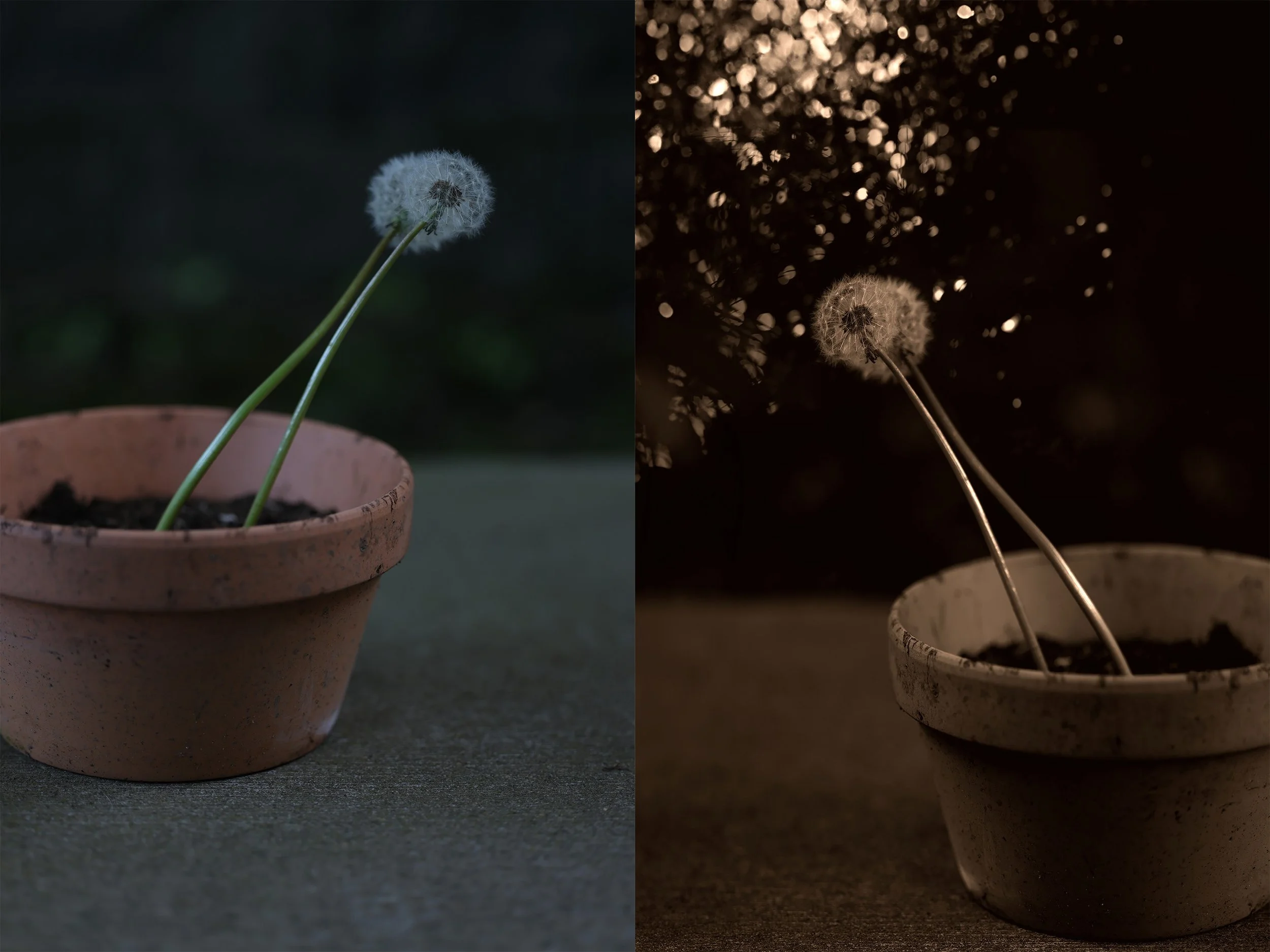 03-Where the Wind Begins.jpg