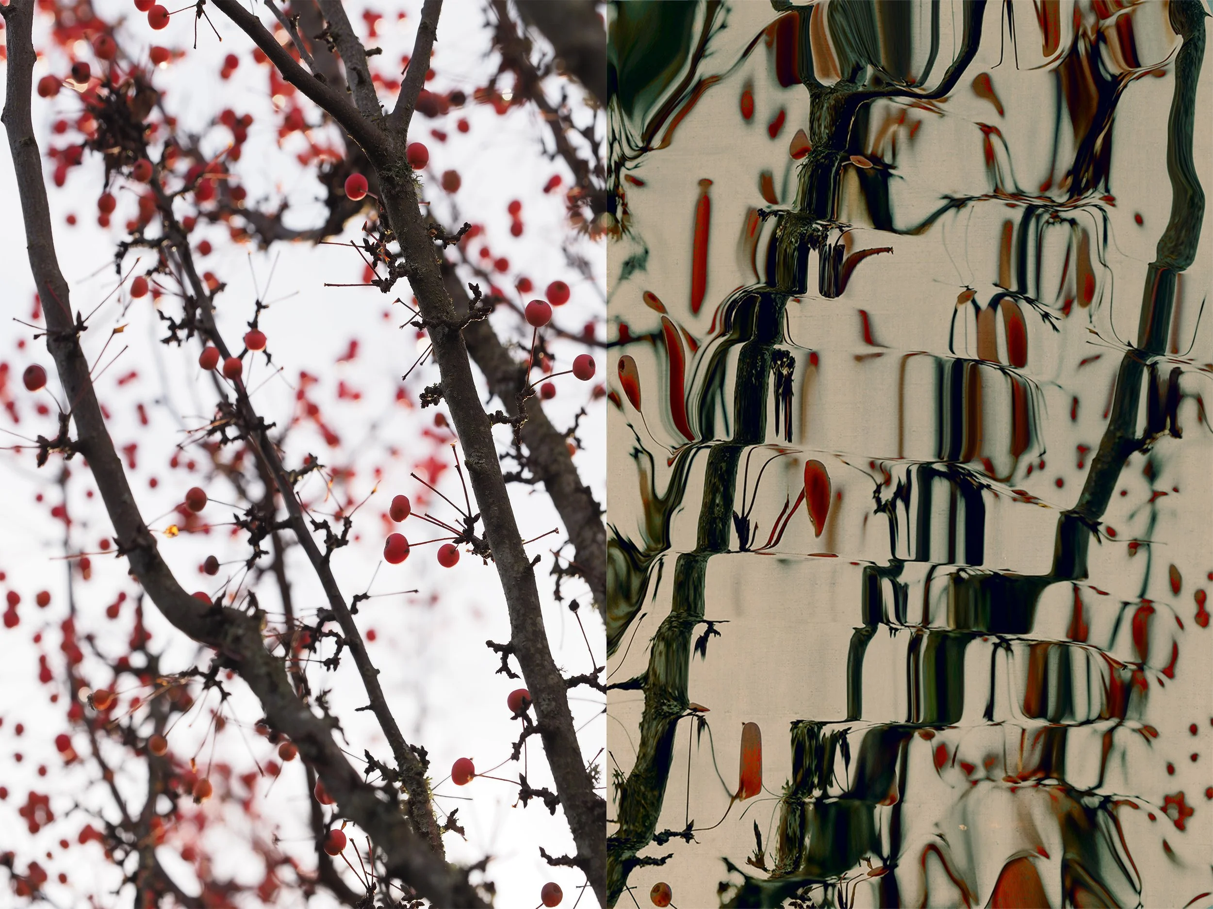 07-Dissolving into Silence.jpg