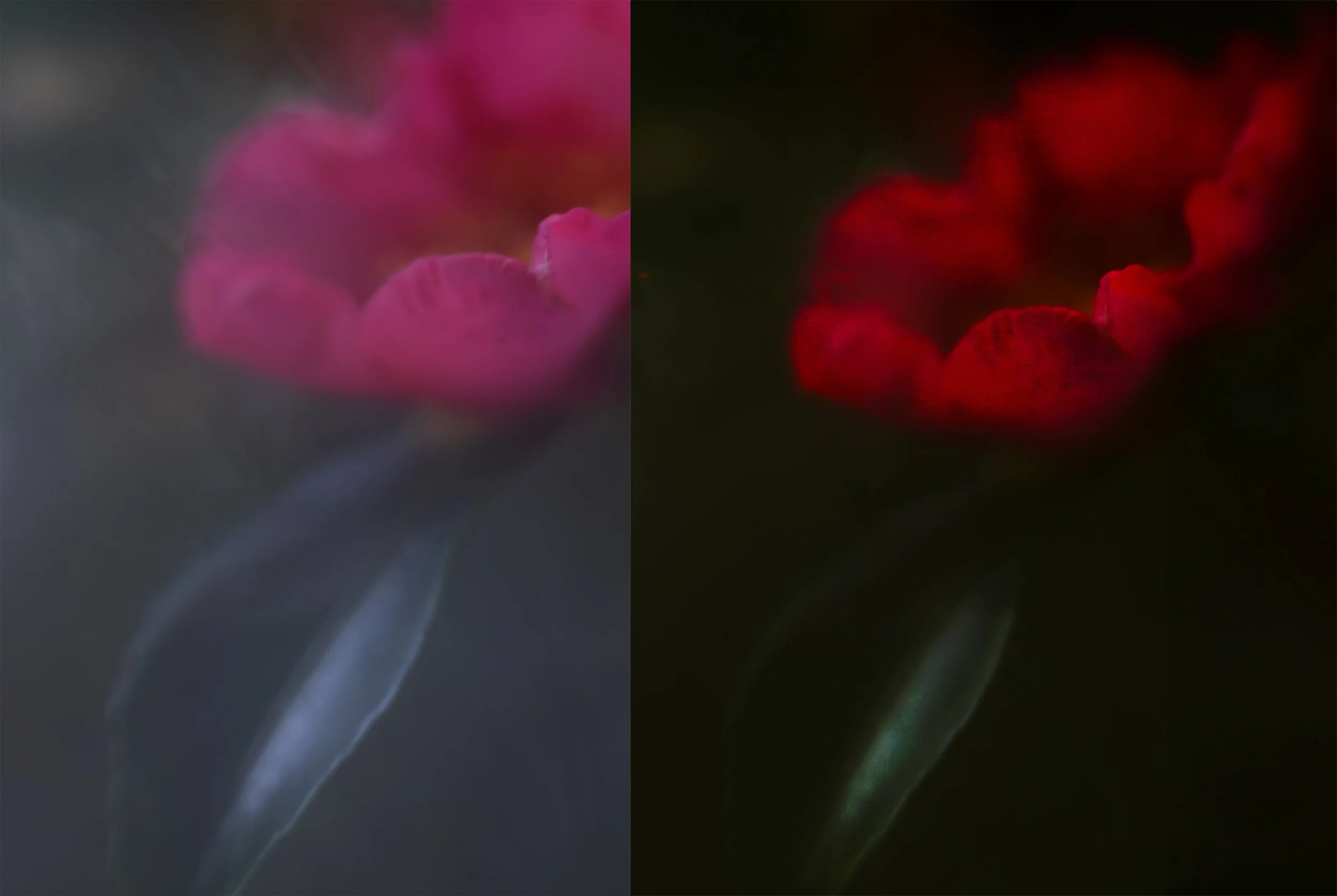 11-Becoming Form.jpg