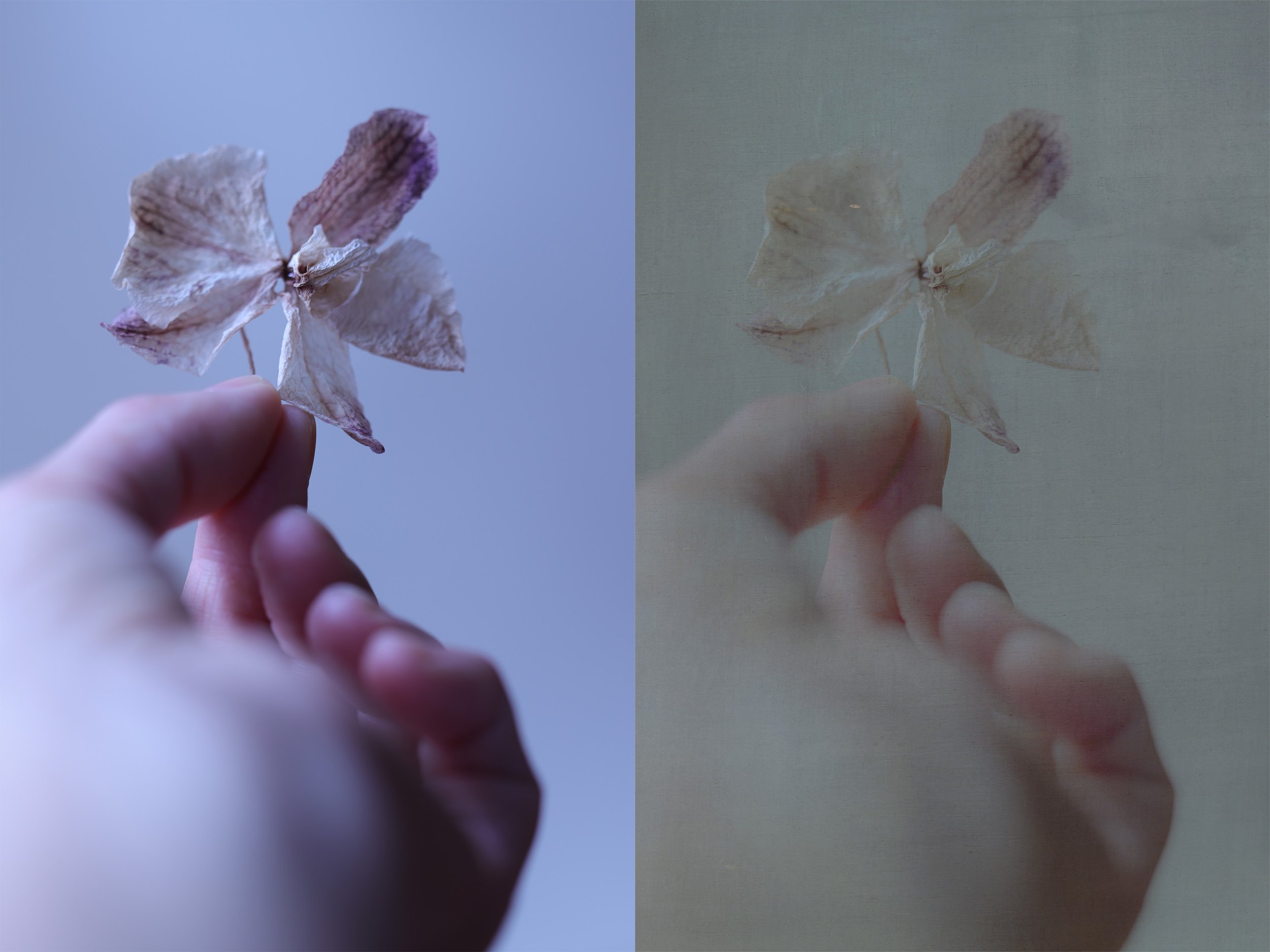 15-Tender Gesture.jpg