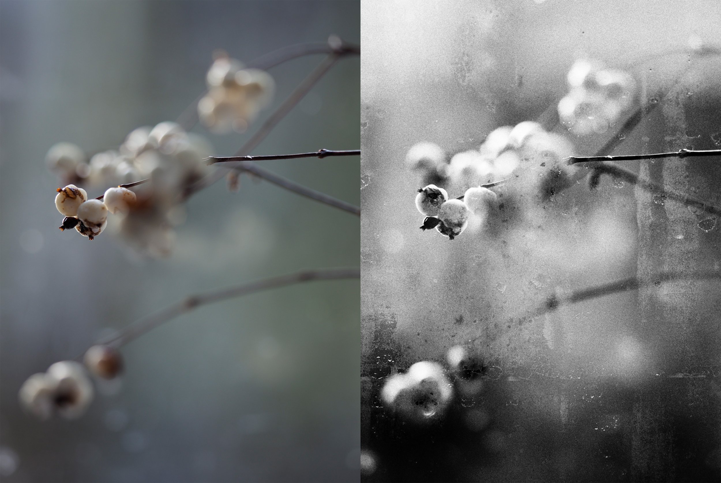 13-Fading Still, It Lingers.jpg