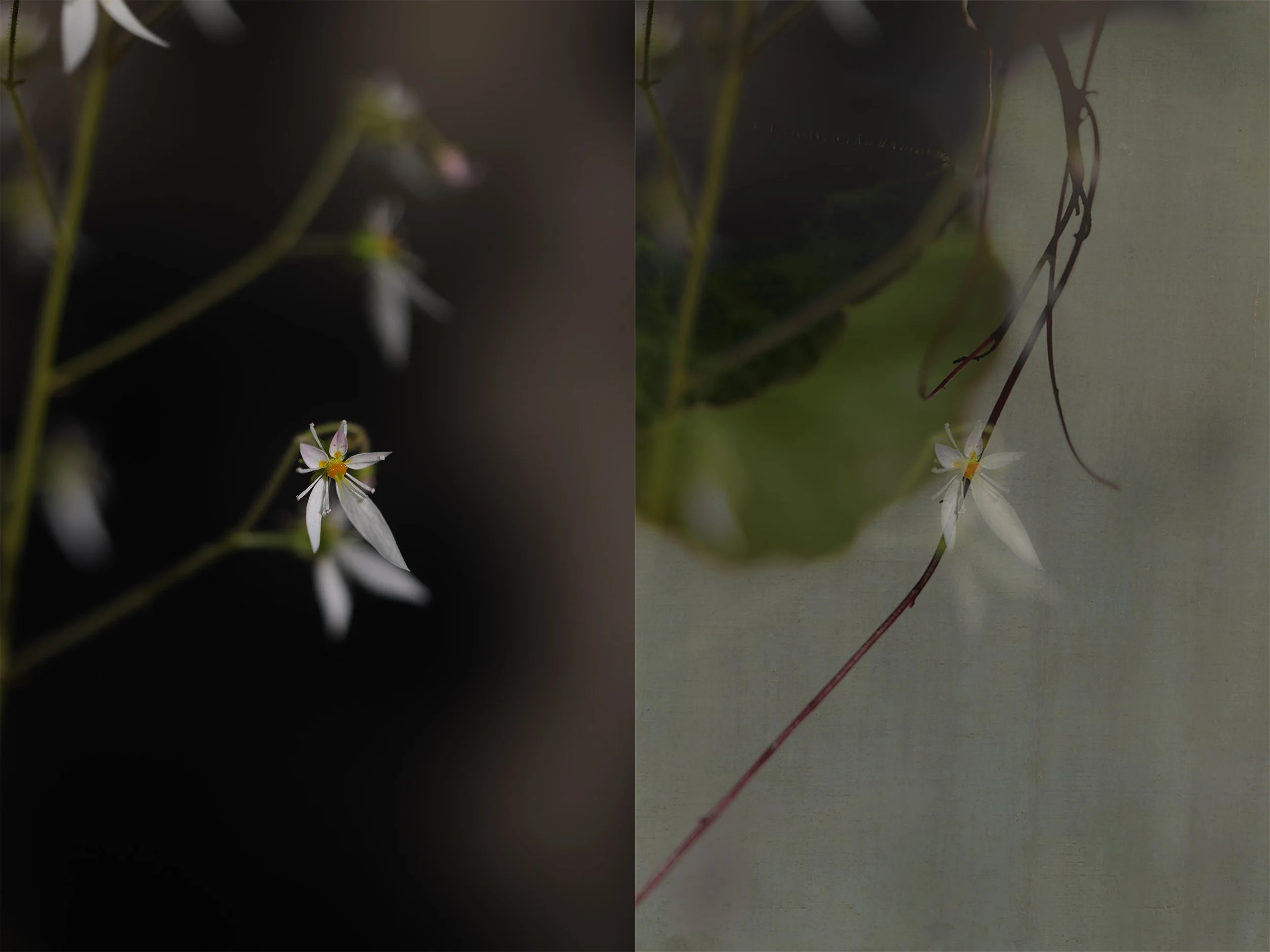 08-The Small Eternity.jpg