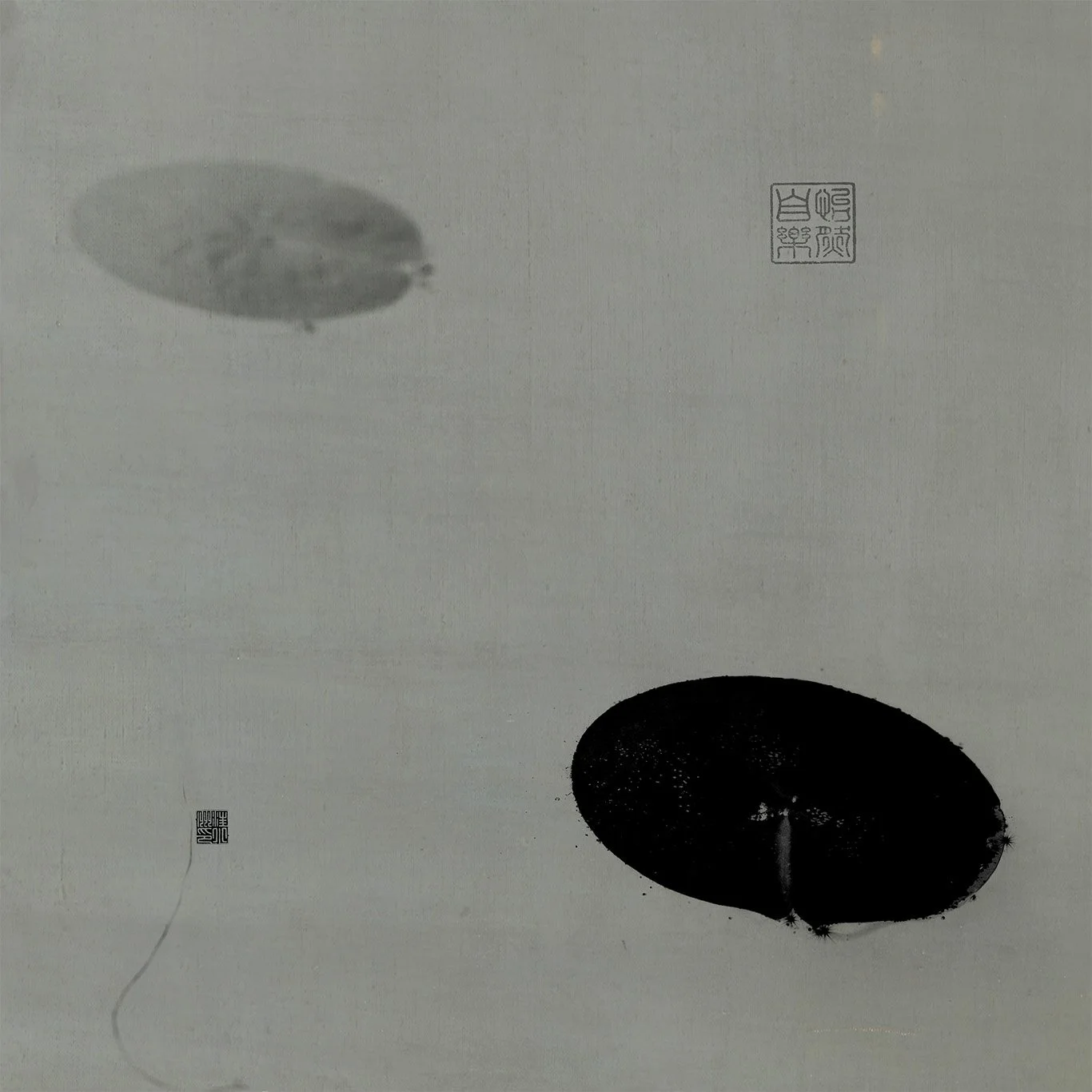 1A9A1731 reversed bnw square.jpg