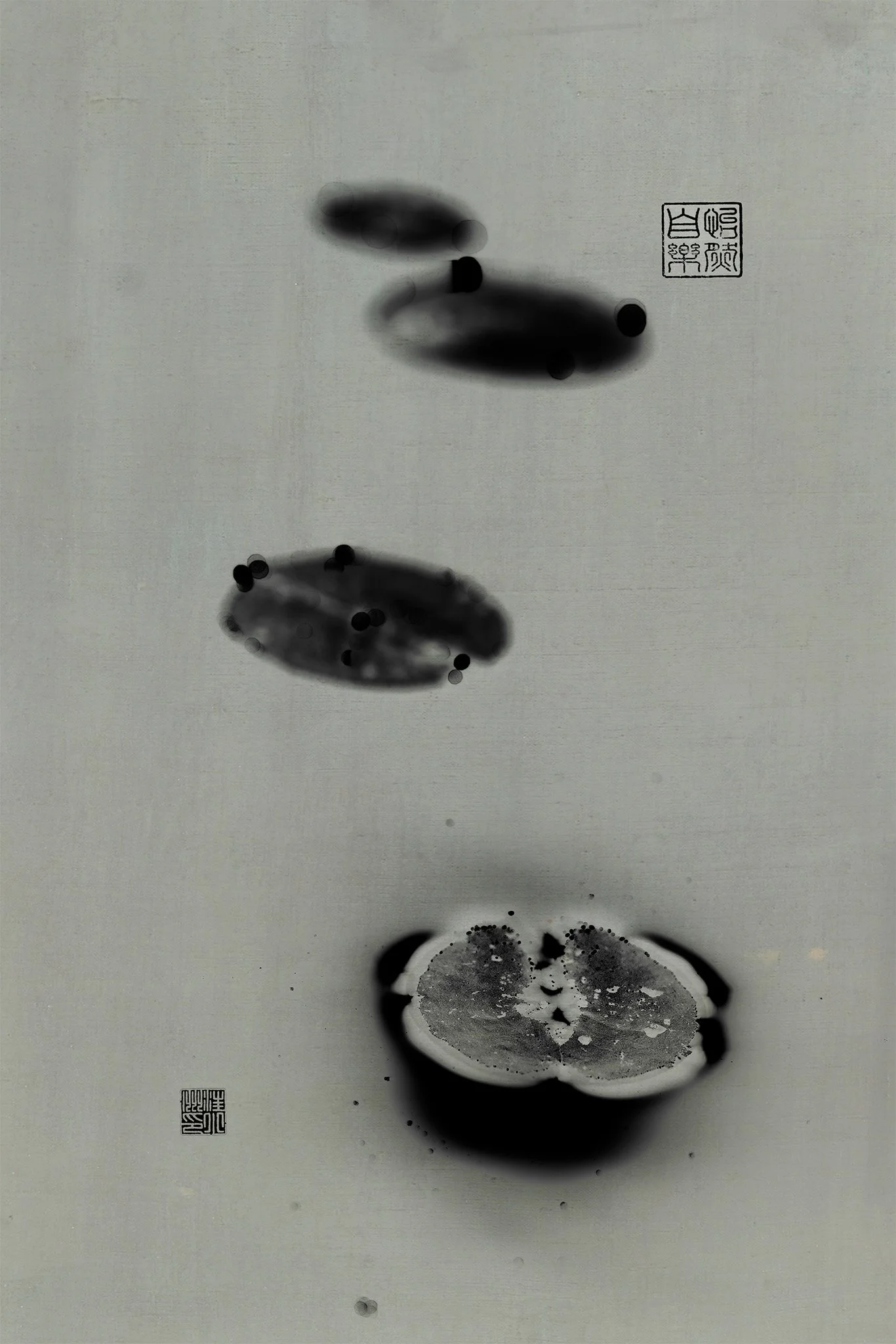 1A9A2044 reversed with layer.jpg