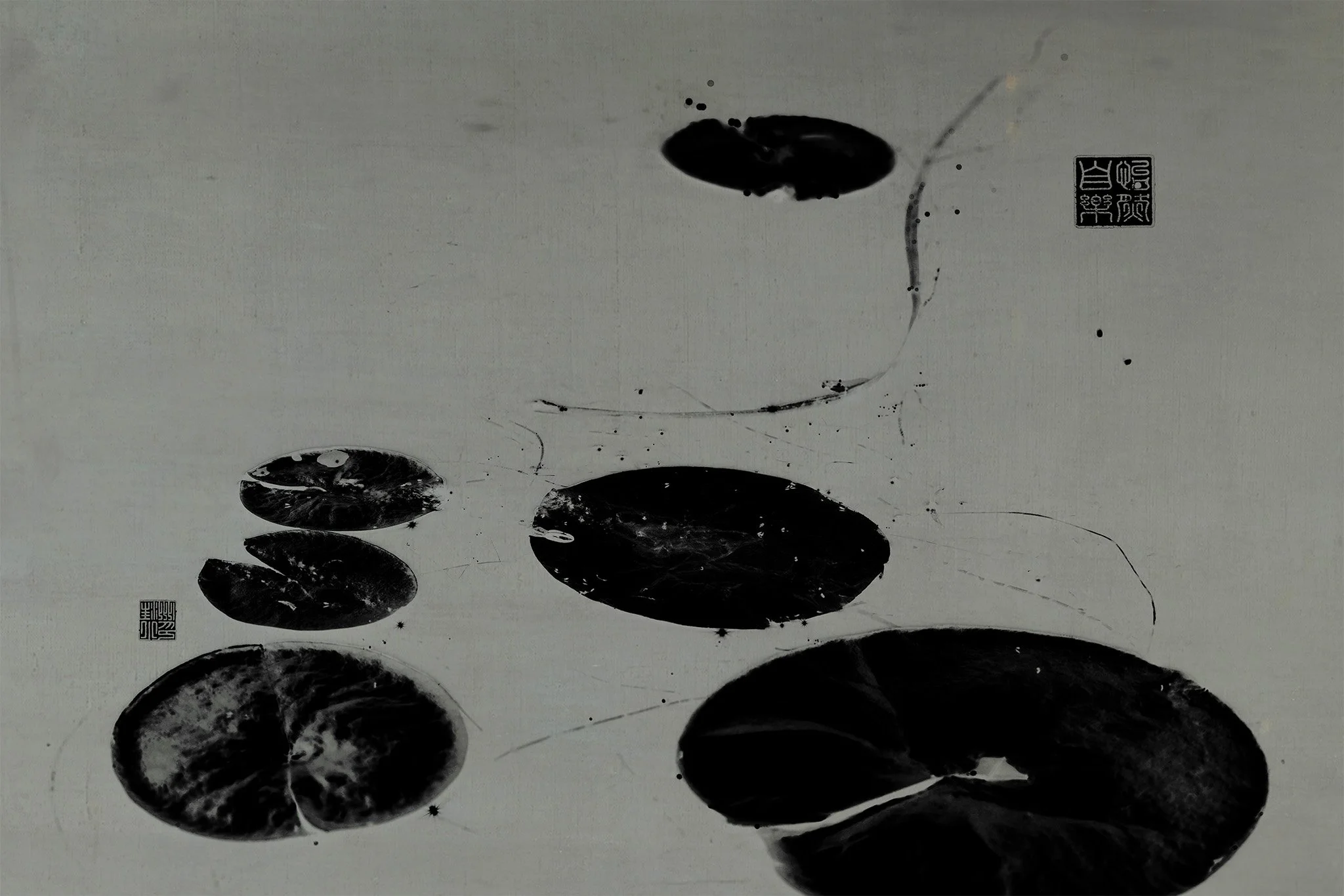 1A9A1814 reversed with layer.jpg
