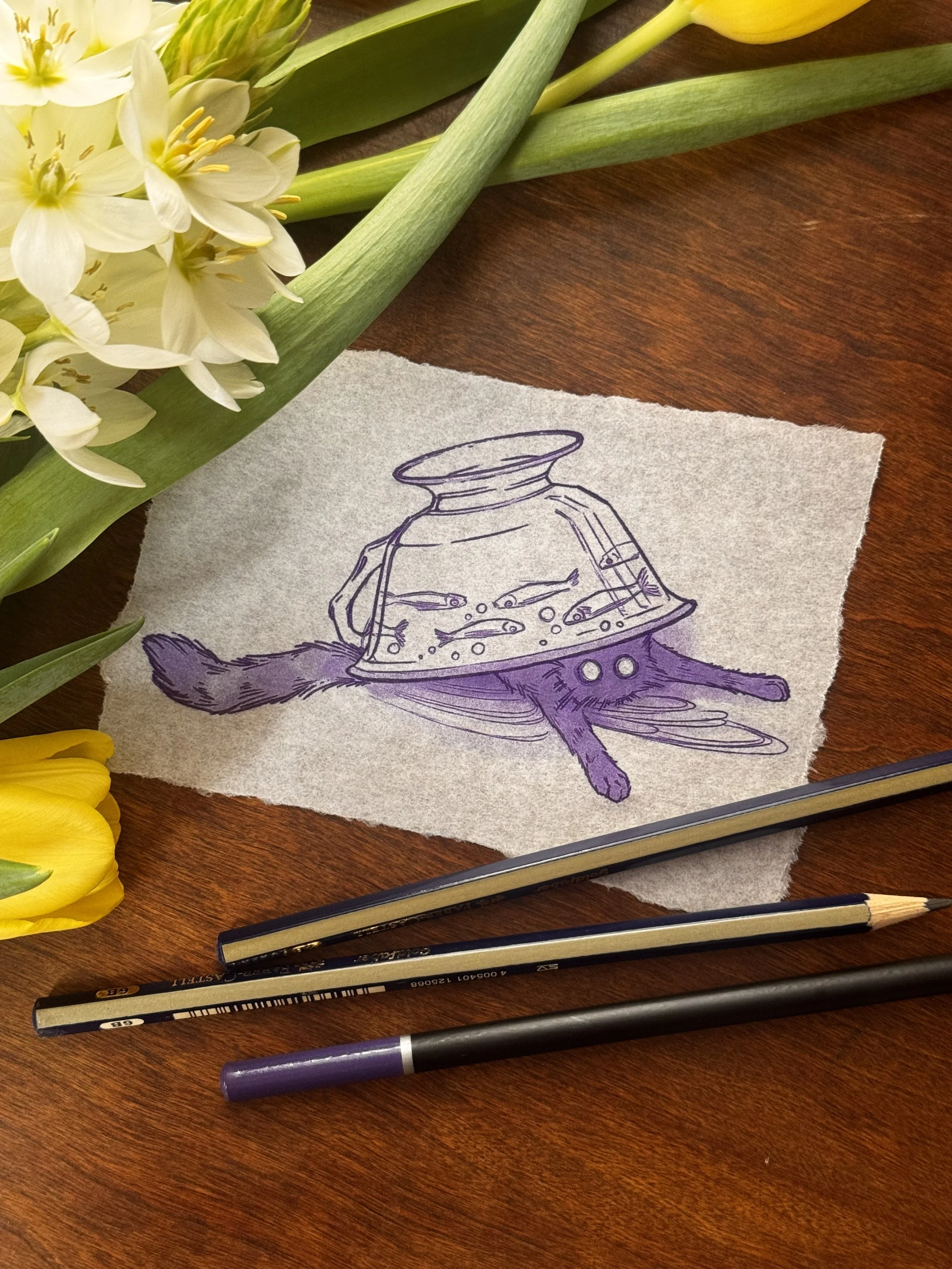 Tea Time Splat