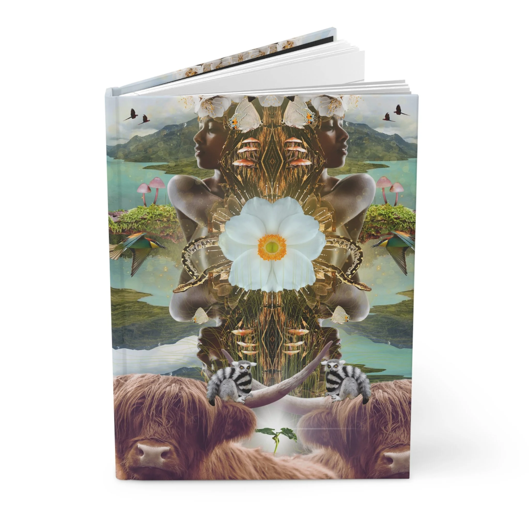 664509402620b32c42a959cf3d649db2