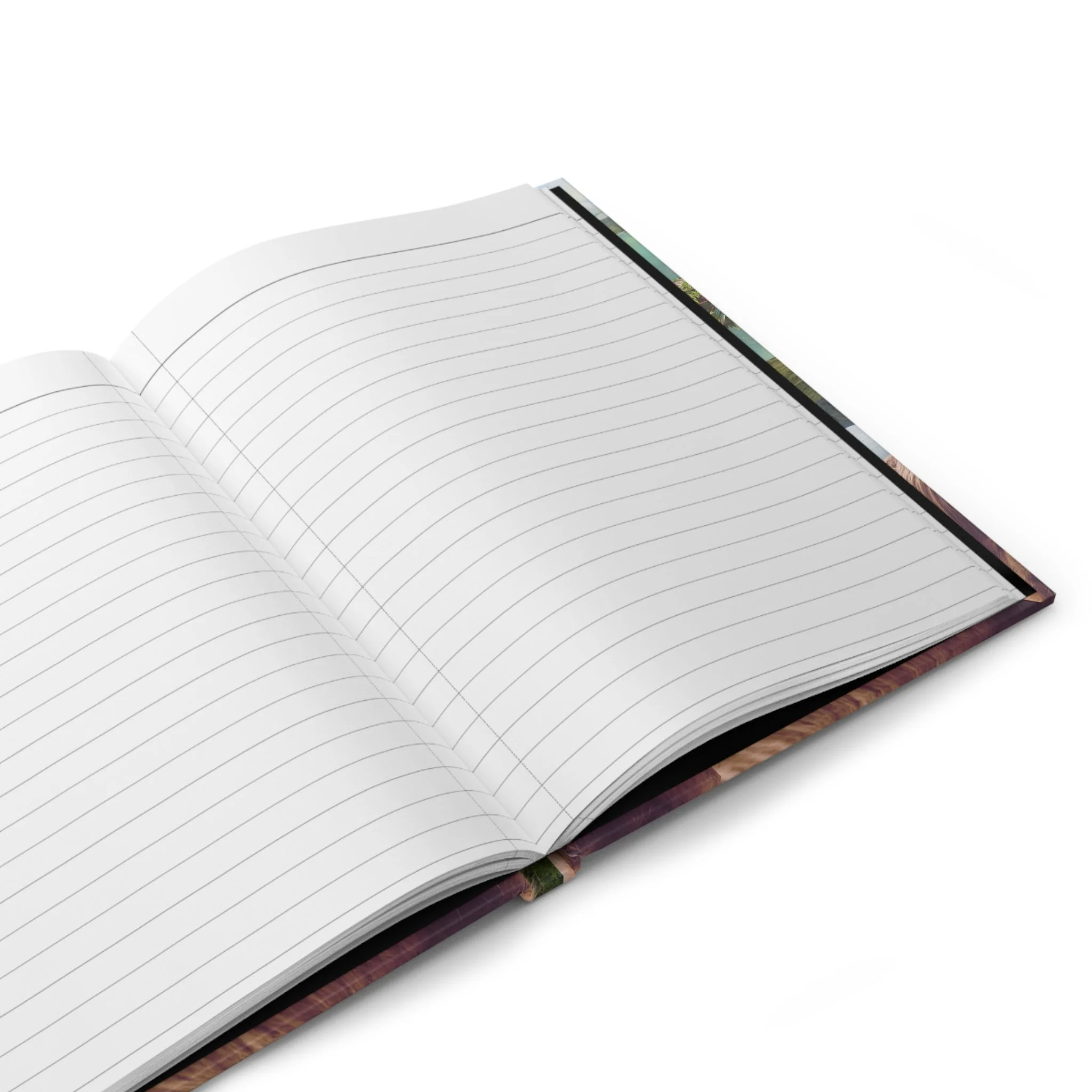 7c3ff3ad5699d26ea5be5ef500a57e2b