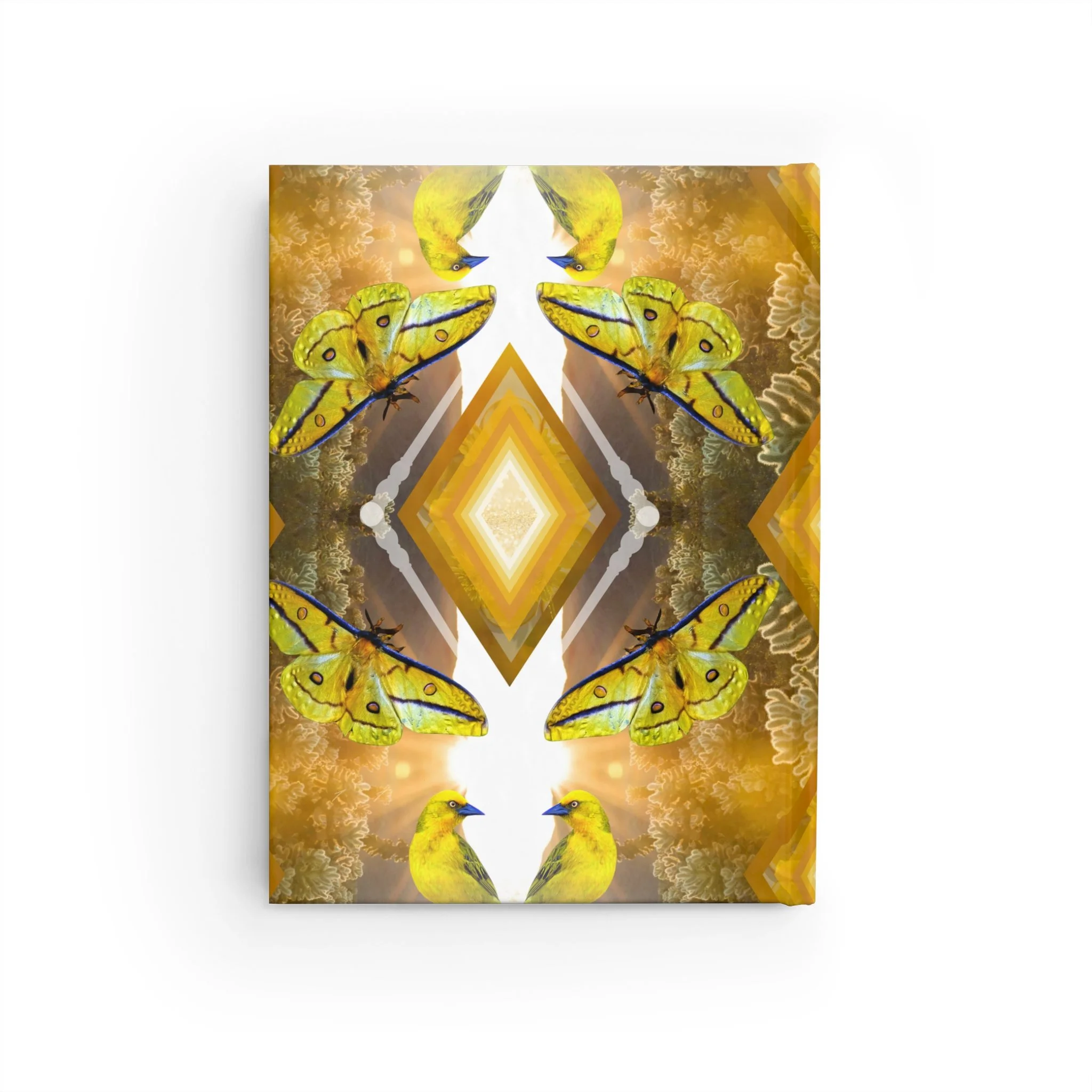 98aac57b4bdb92f85dd257e29ff2e11a