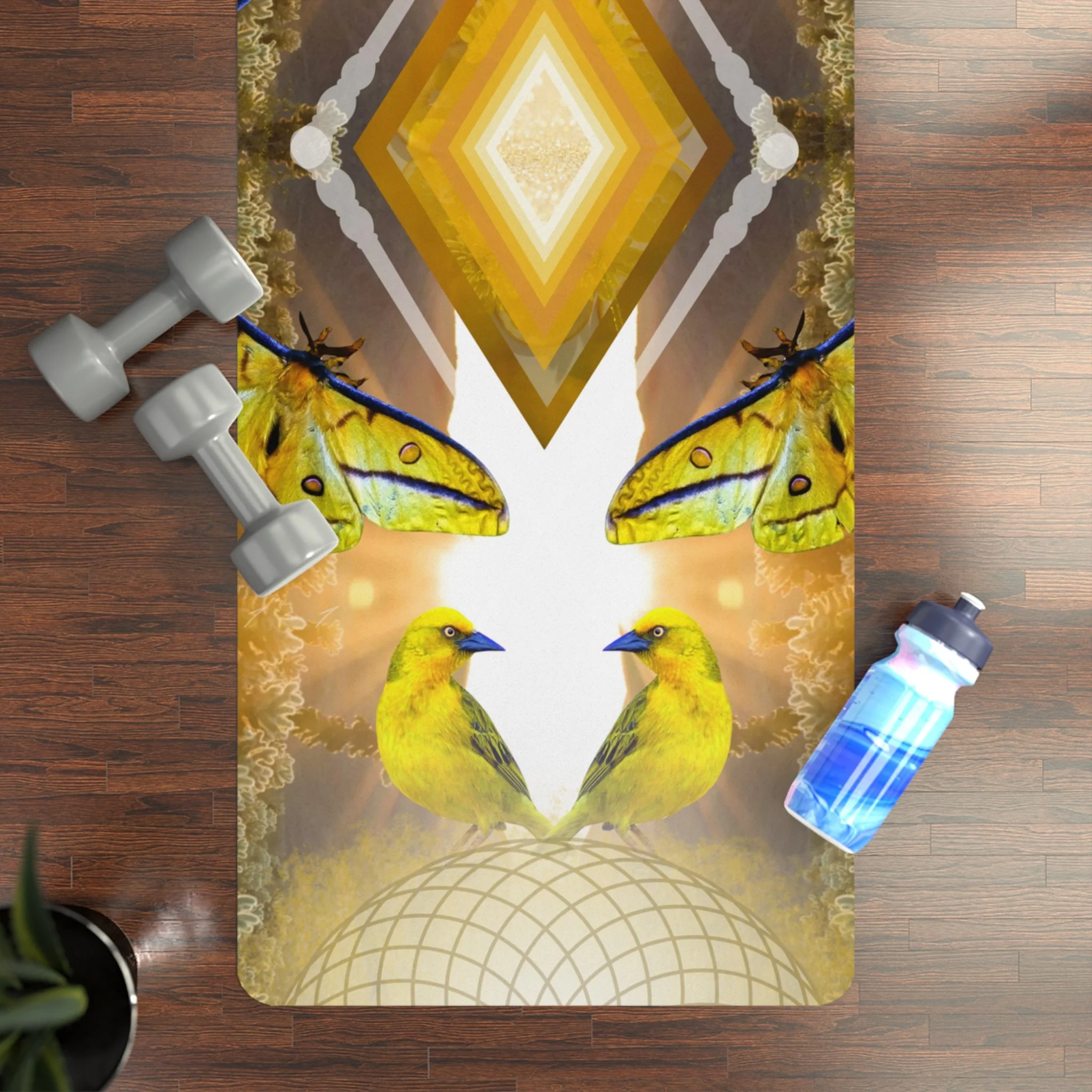 b755faf92a23ebb12d8ecefb0f961f88