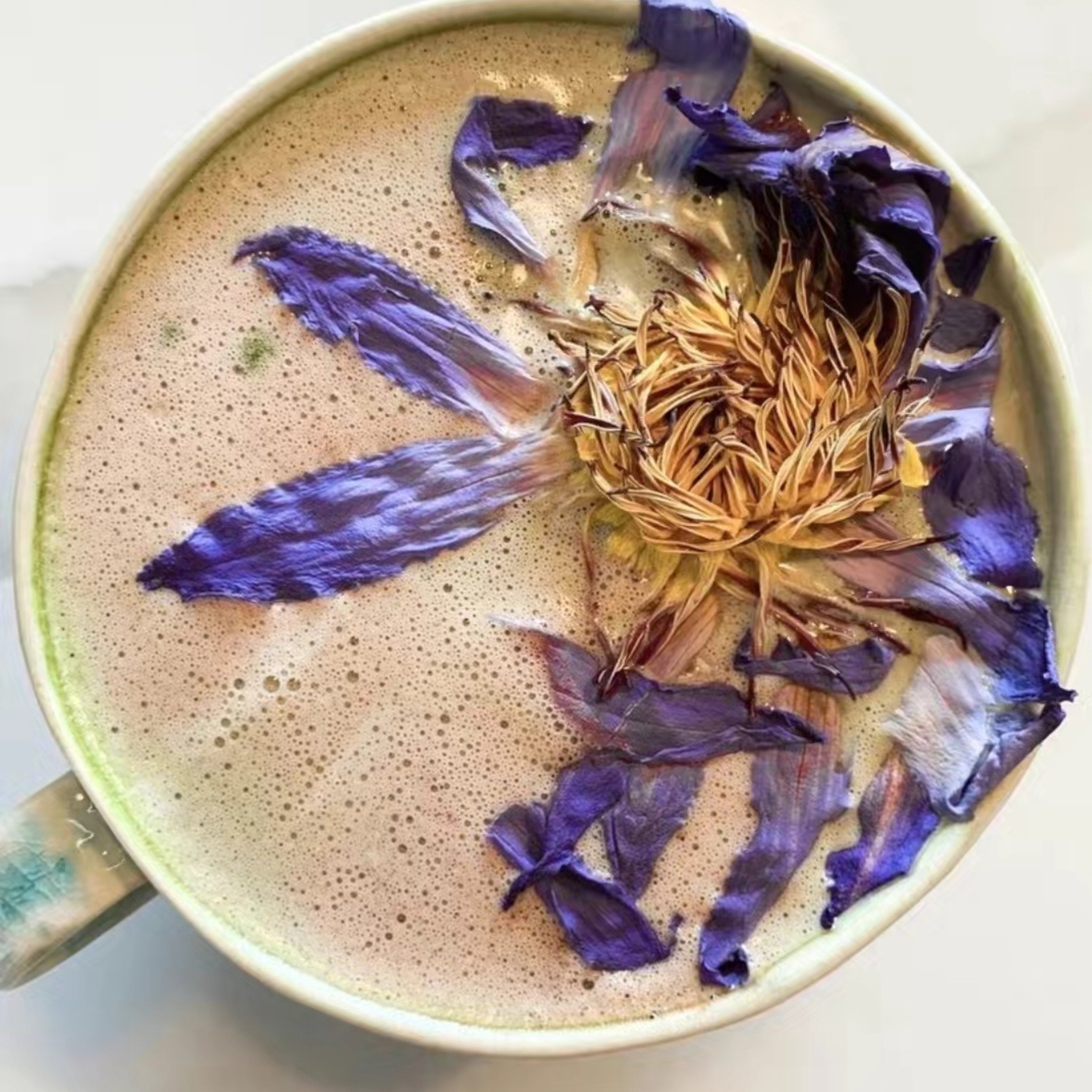 Discovering Blue Lotus
