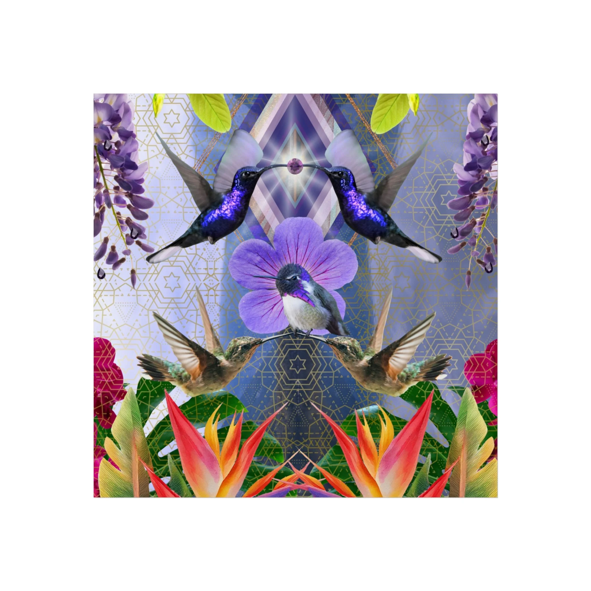 728371a83382866bbe00056c8ed67ae2