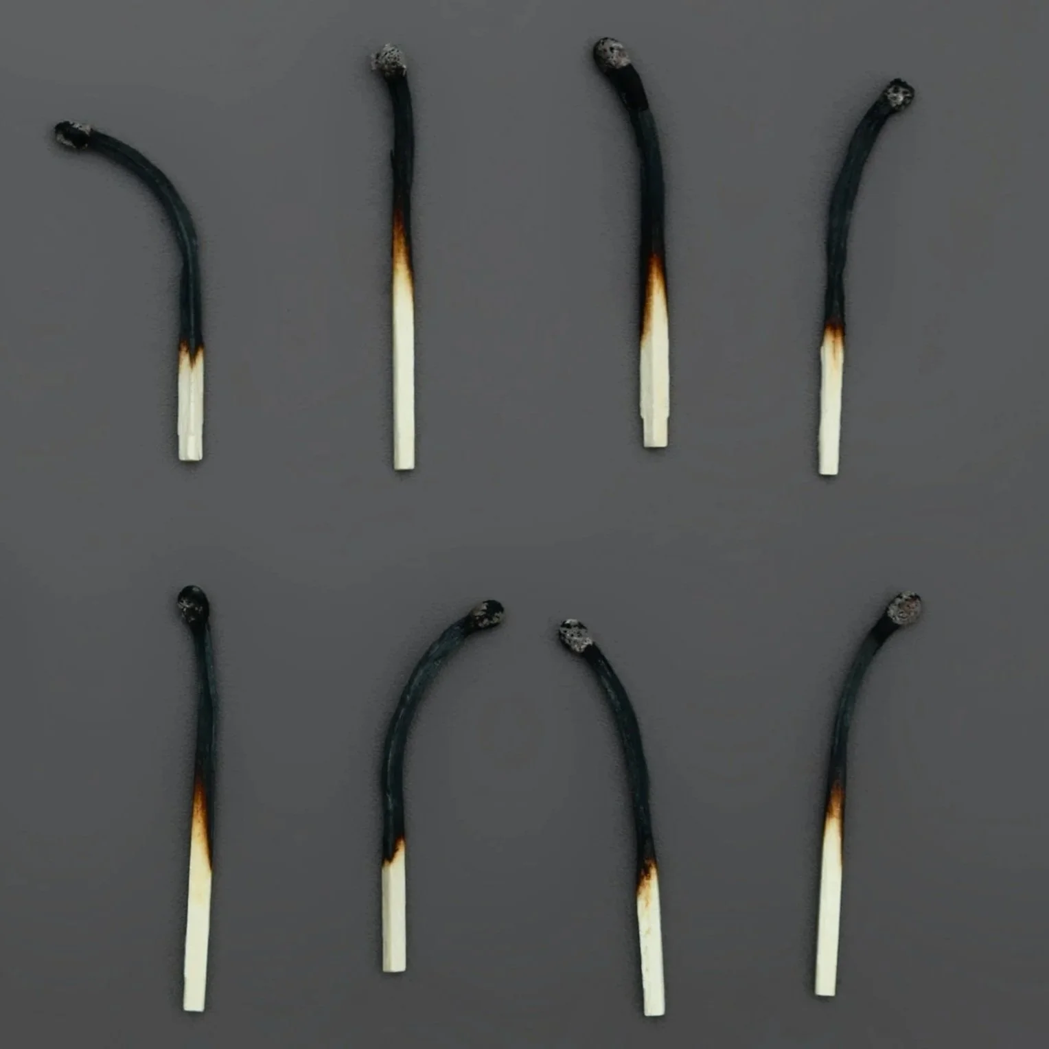 Feeling Exhausted and Activated? The Organ That Changes Everything