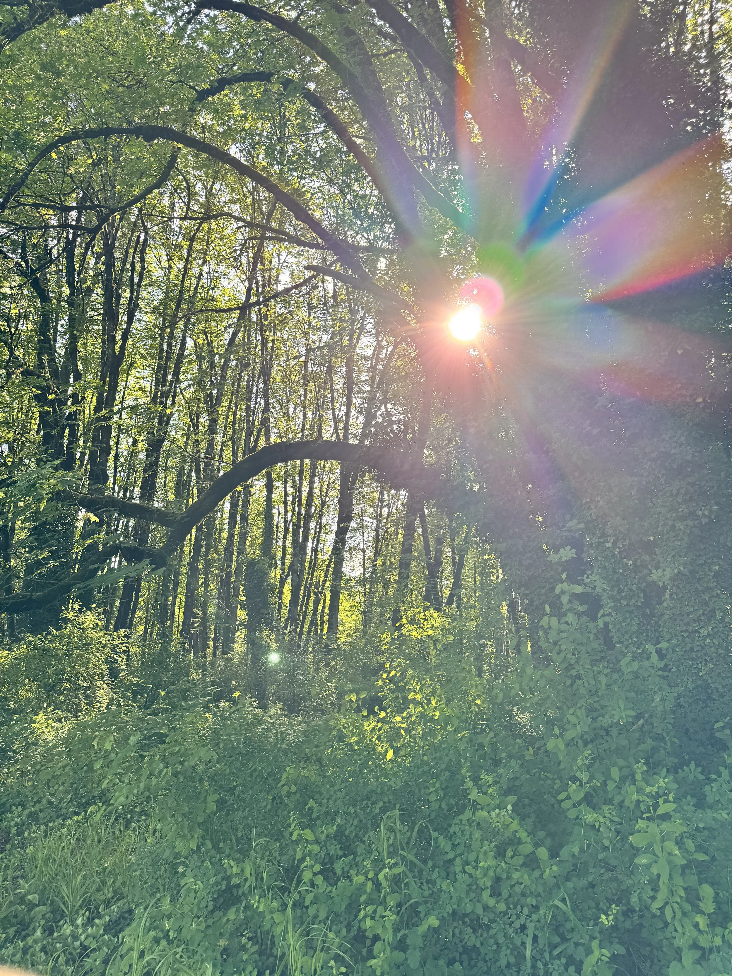 Following Joy to the Edge of the Earth: A Return to Gaia’s Frequency