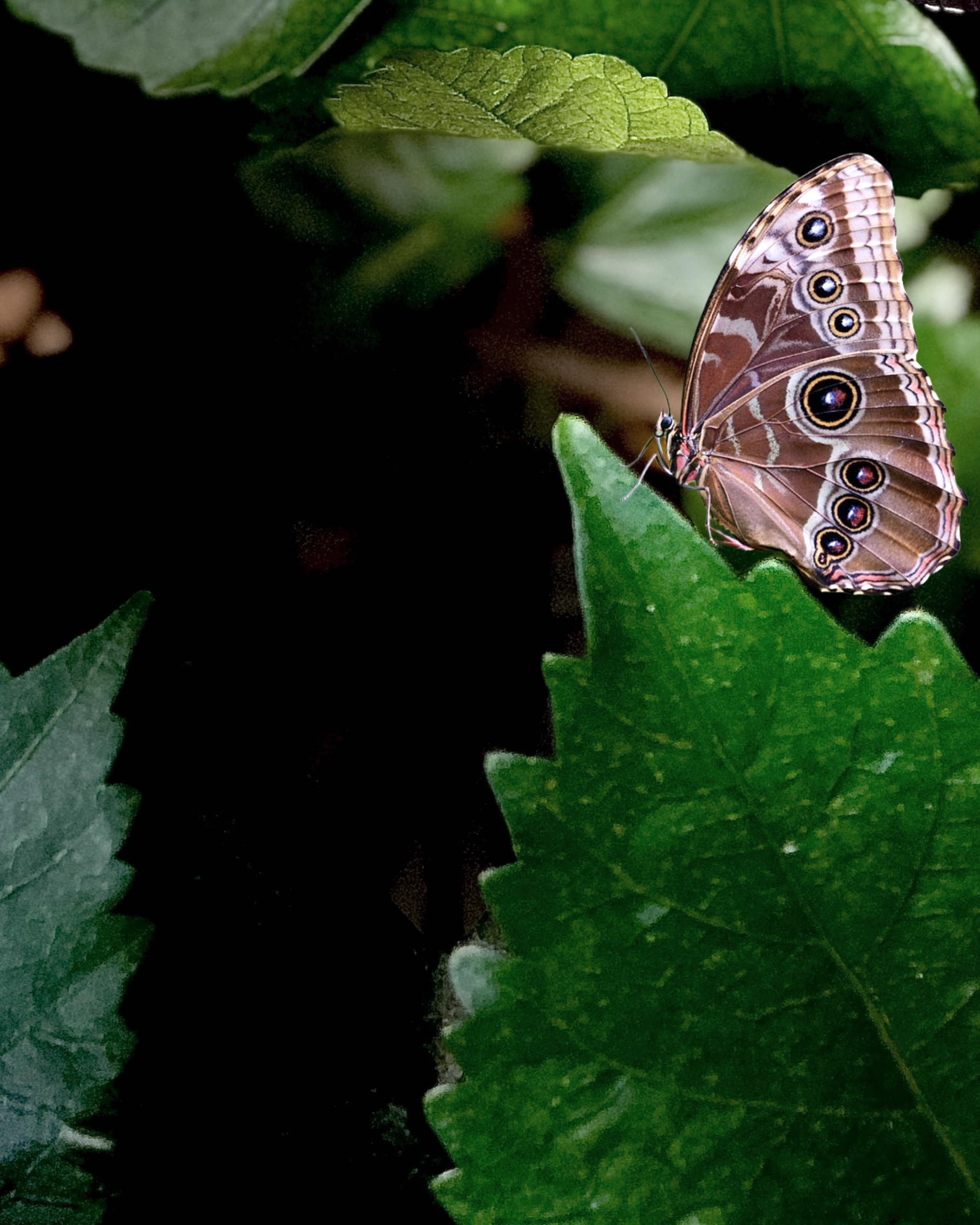 the breakthrough (2).png