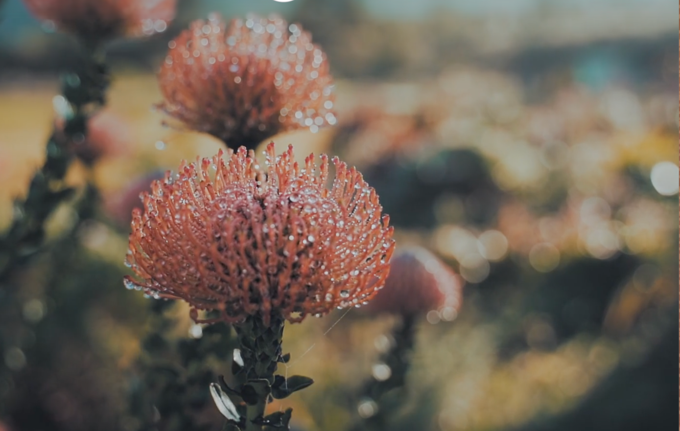 Screenshot 2026-03-06 at 8.04.43 AM.png