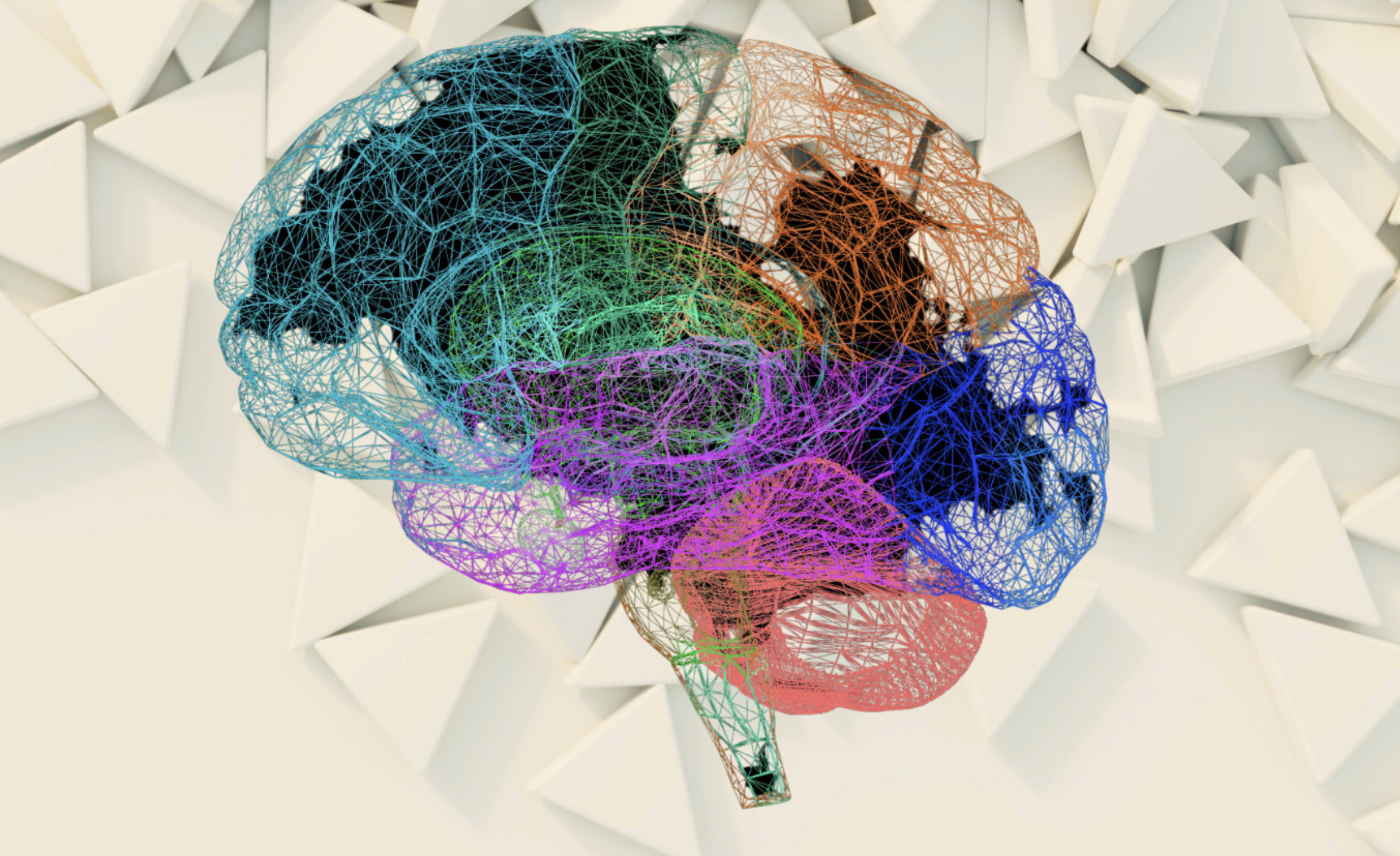 Neuroaesthetics:The science behind why beauty heals