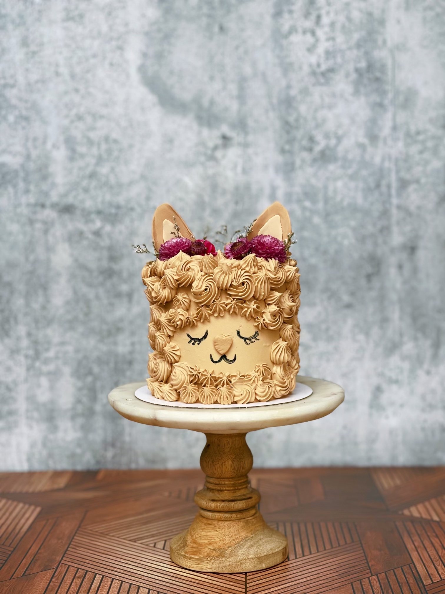Alpaca Cake Workshop