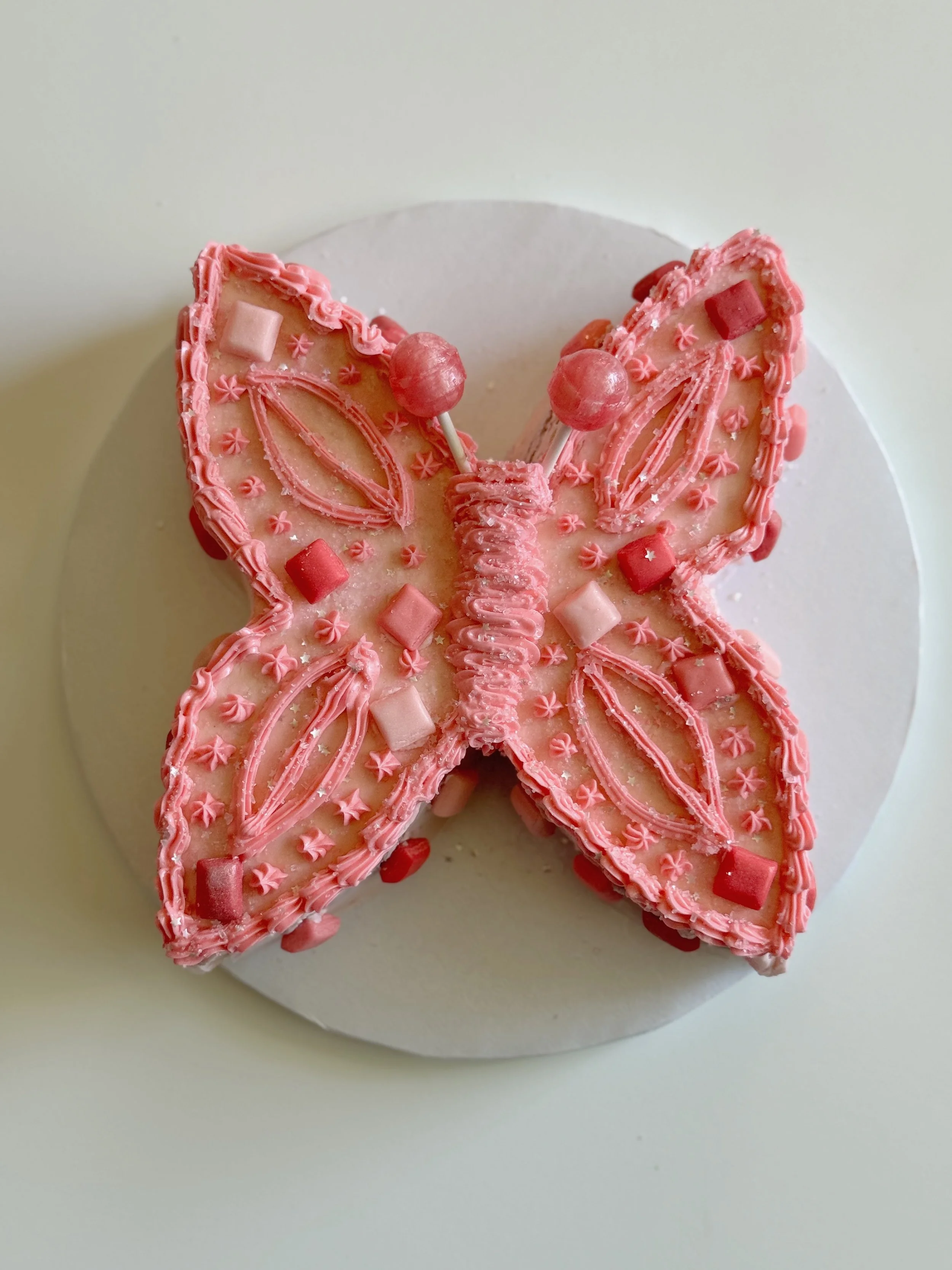 Butterfly Workshop