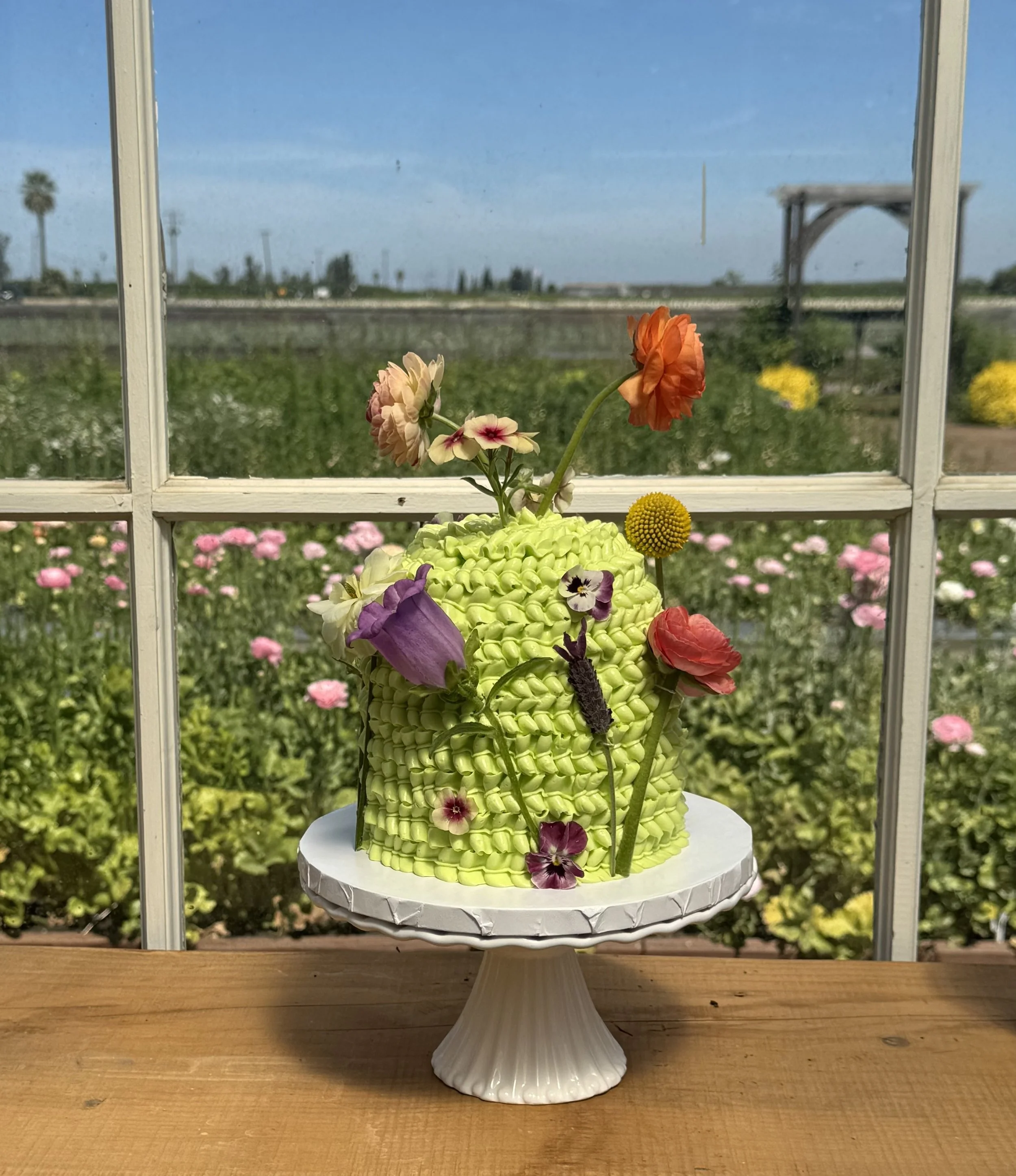 Floral Dome Workshop