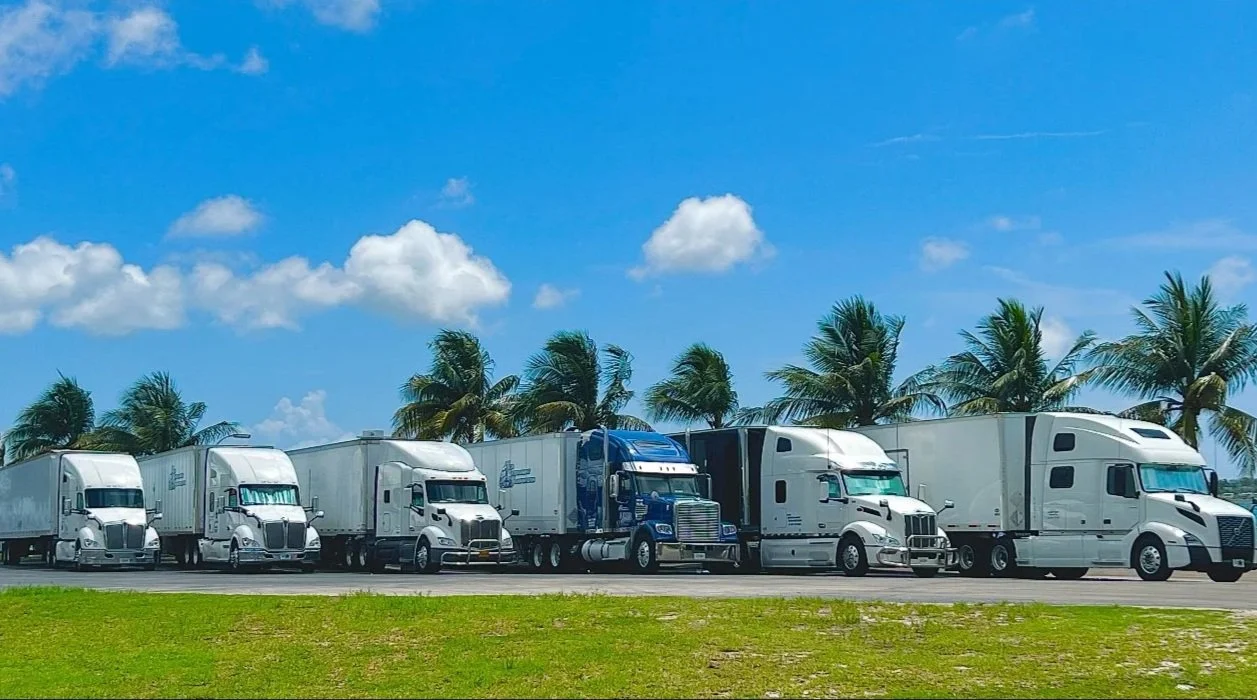 A row of six large semi-trucks parked on a road with palm trees and a partly cloudy sky in the background.