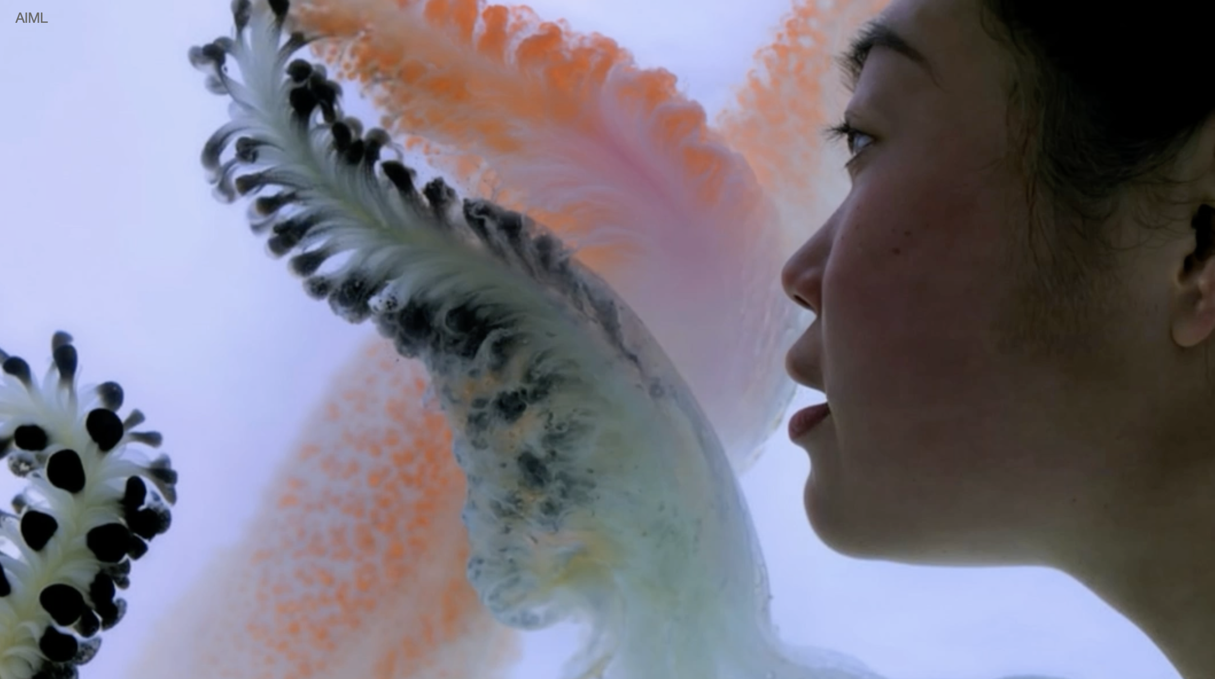 Screenshot 2025-12-13 at 9.02.37 AM.png