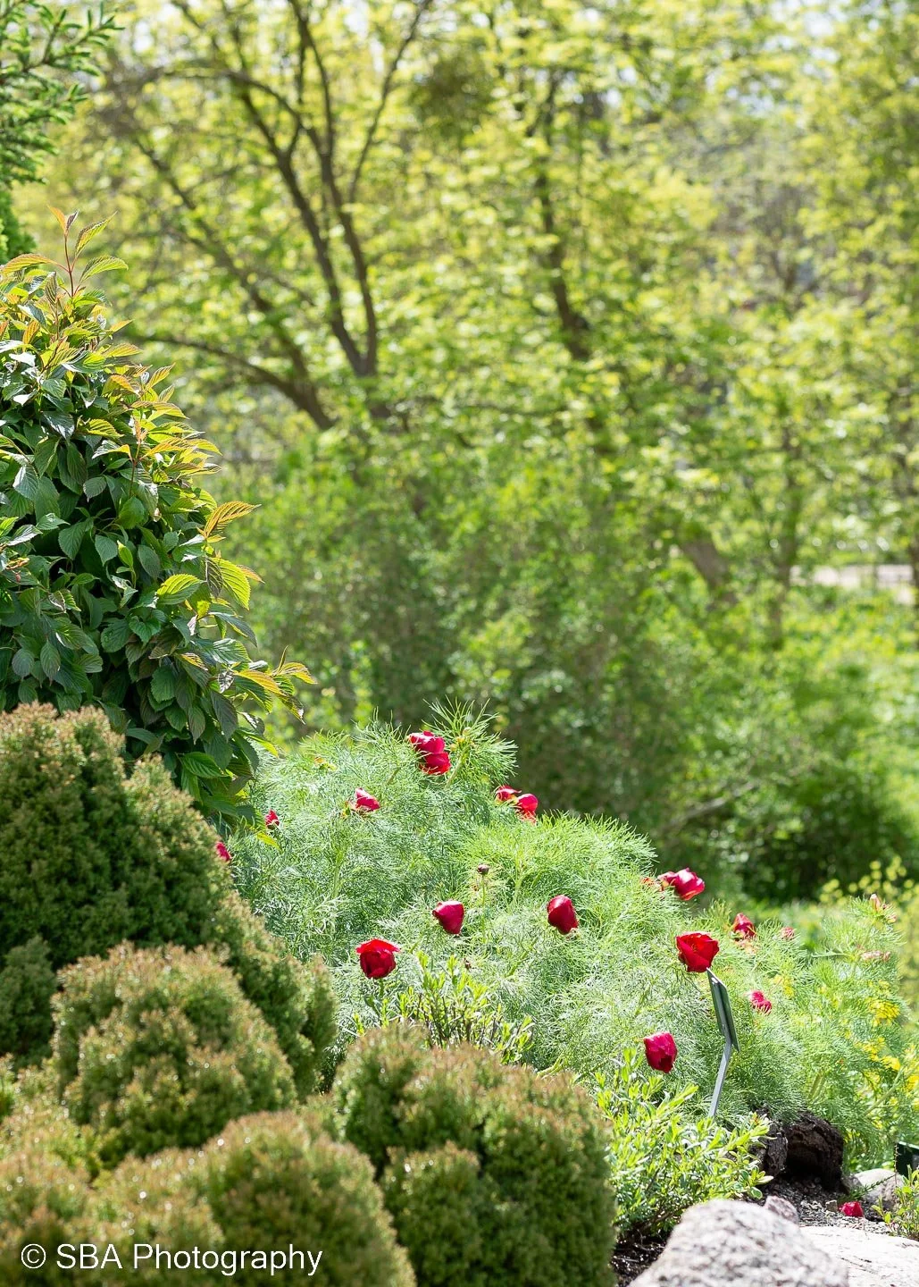 17052023-DSC_0572.jpg