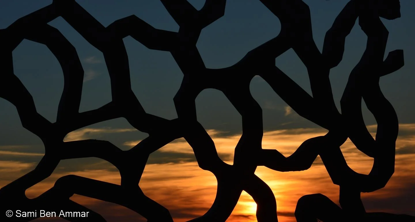 10102015-DSC_0547 retouche.jpg