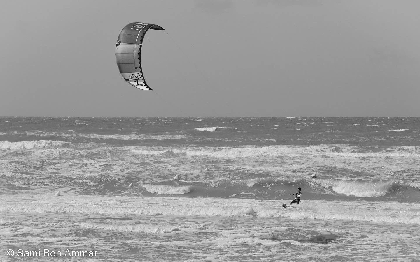 20082016-DSC_0805.jpg
