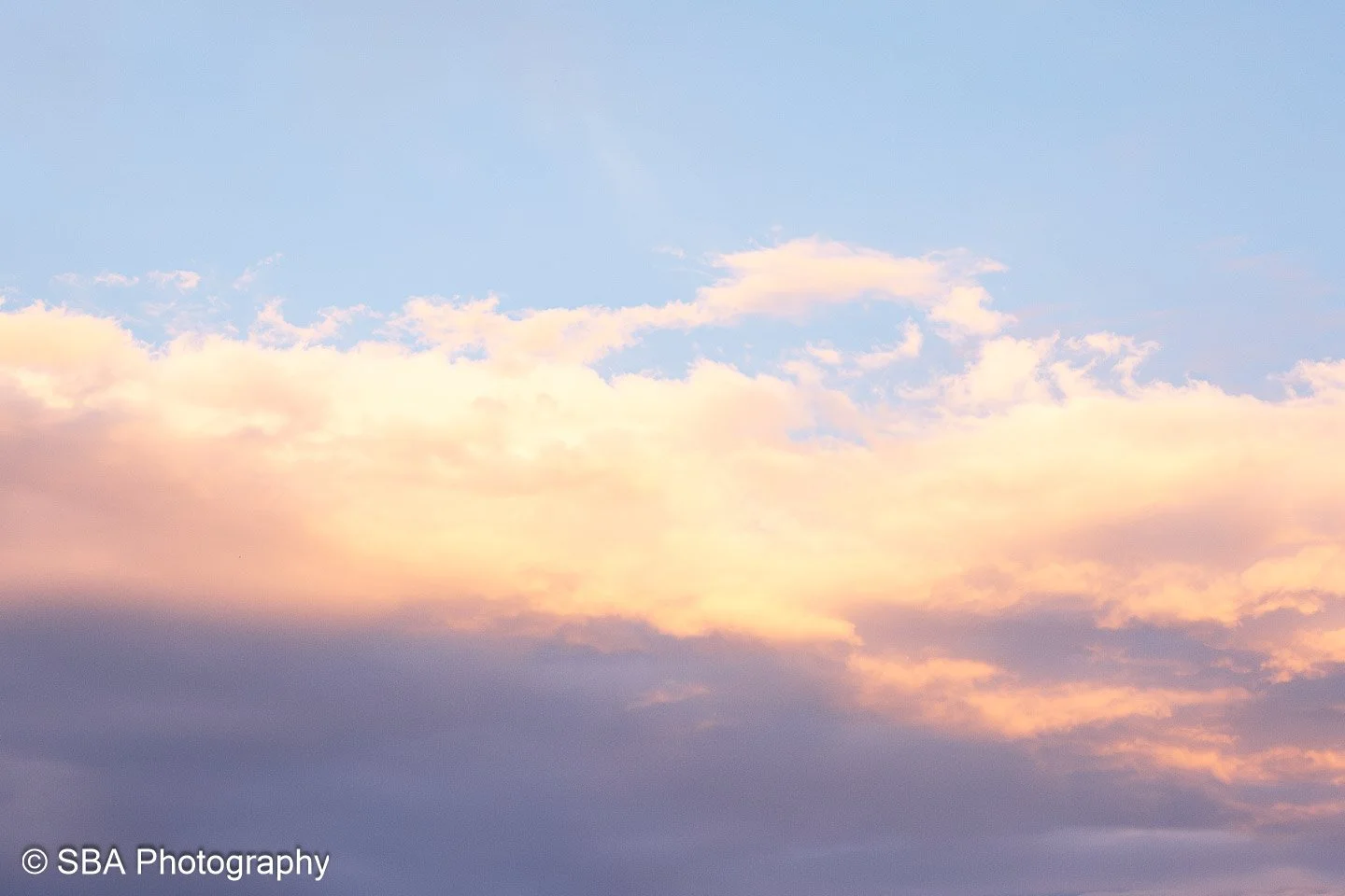 25082023-DSC_3526-Avec accentuation-Bruit.jpg