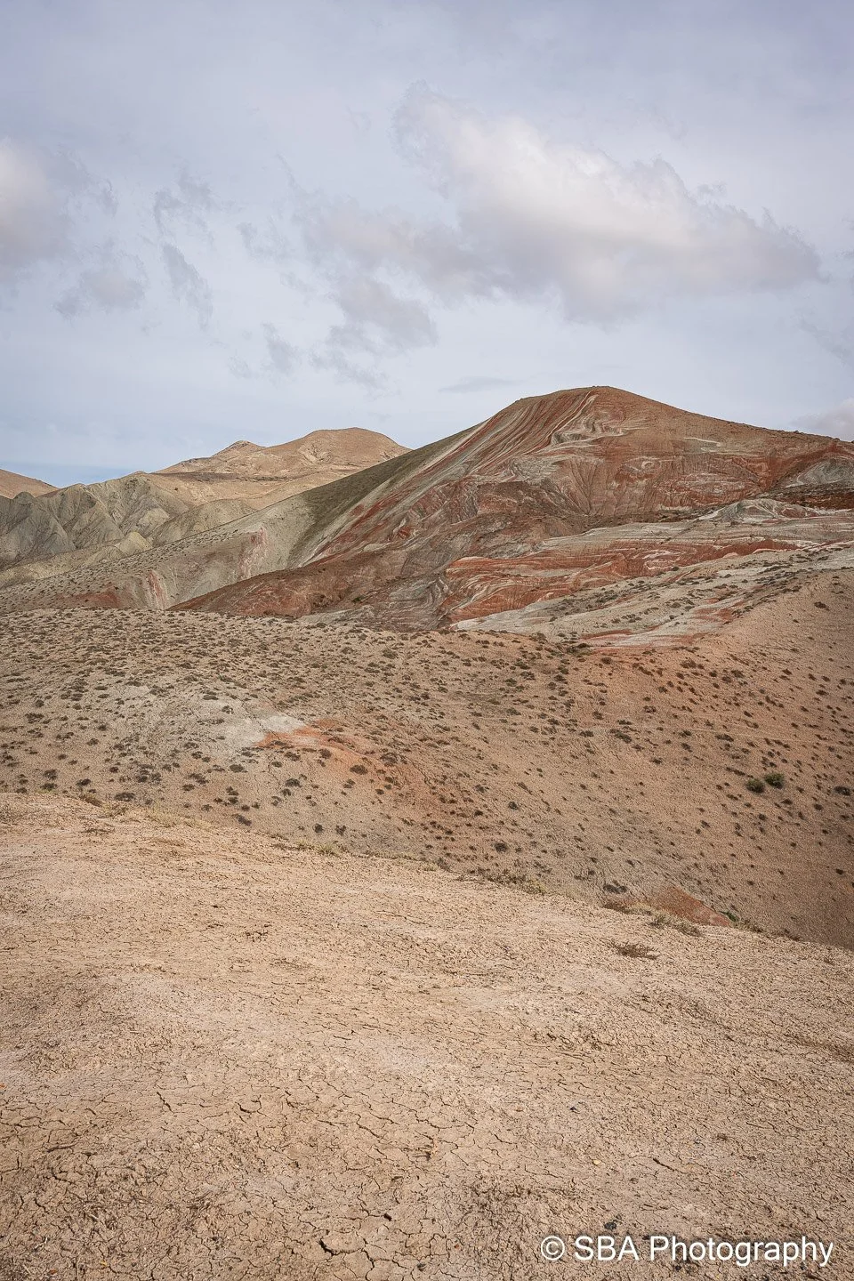 20240927-A7S06857.jpg