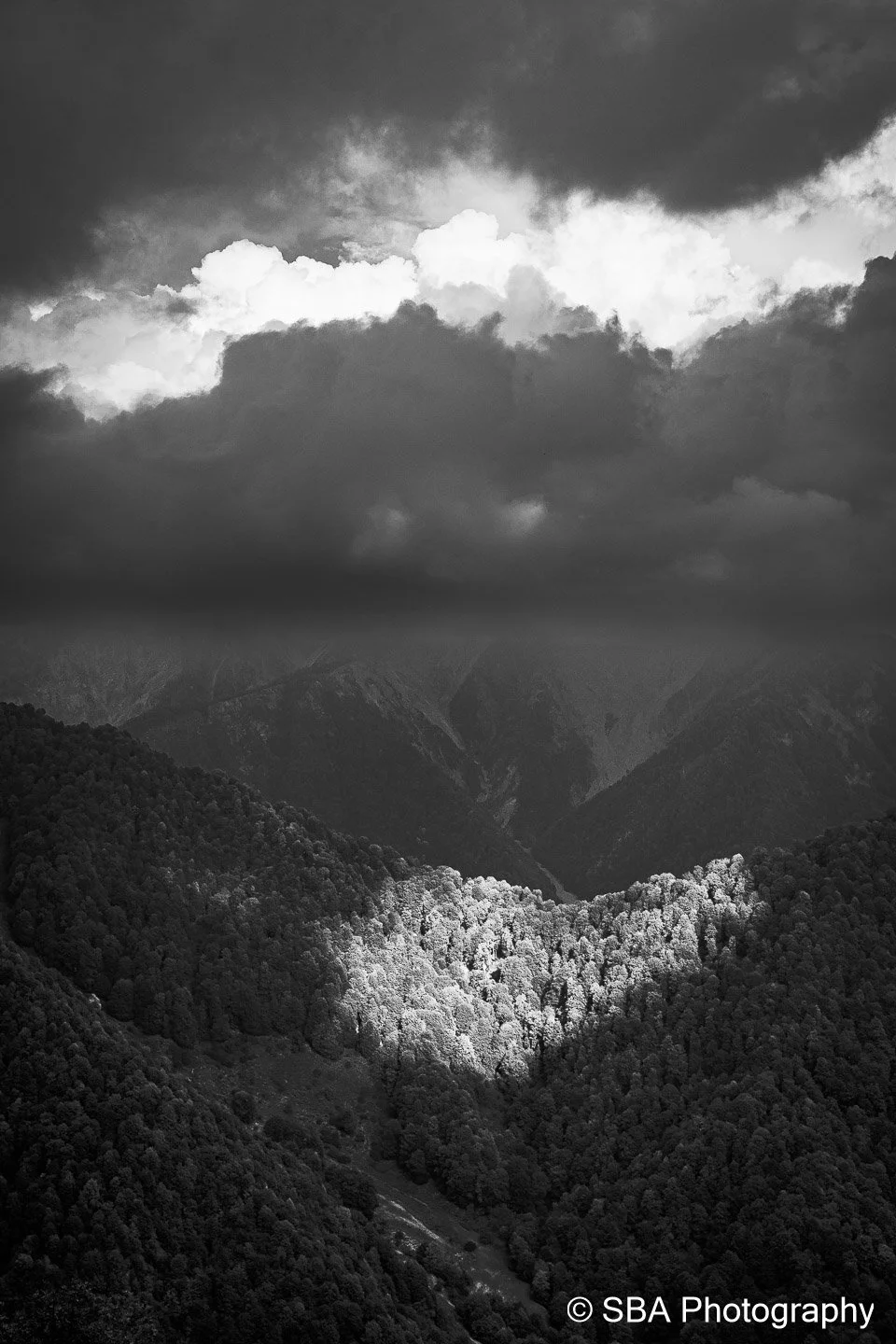 20240925-A7S06668.jpg