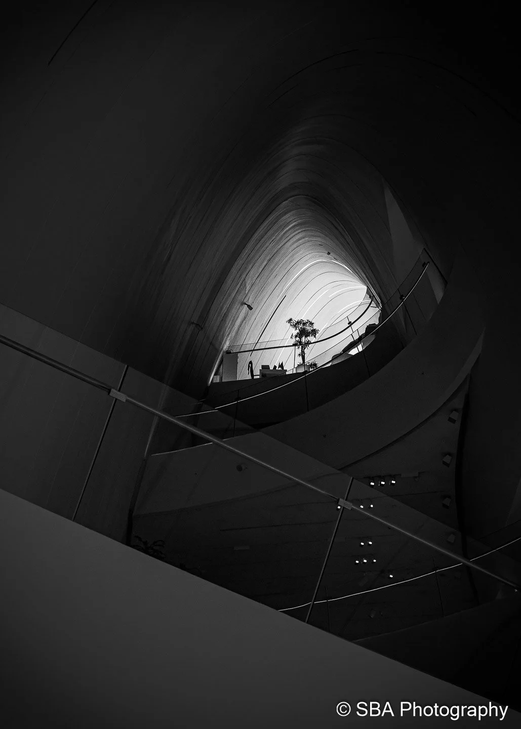 20240924-A7S06414.jpg