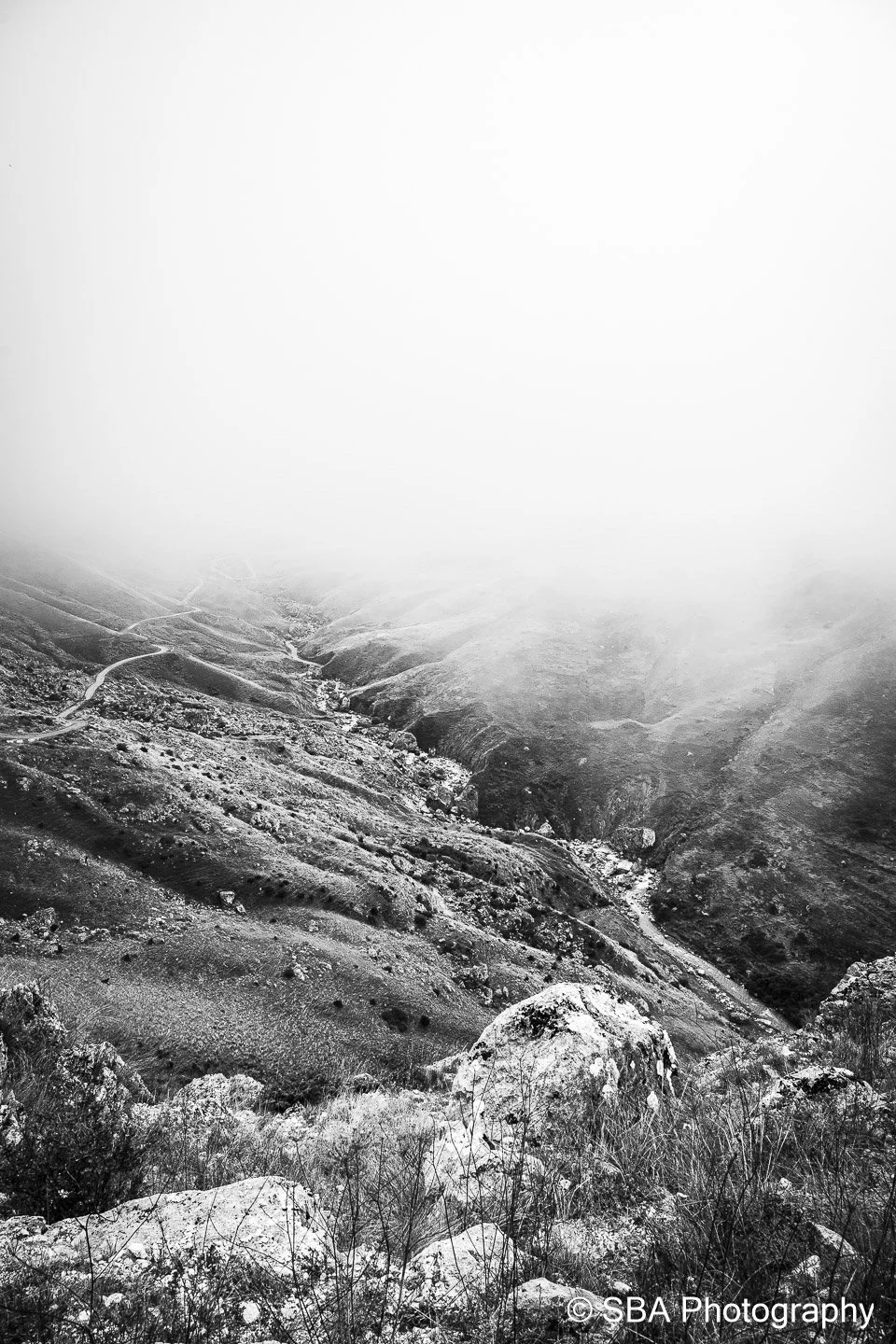 20240927-A7S06913.jpg